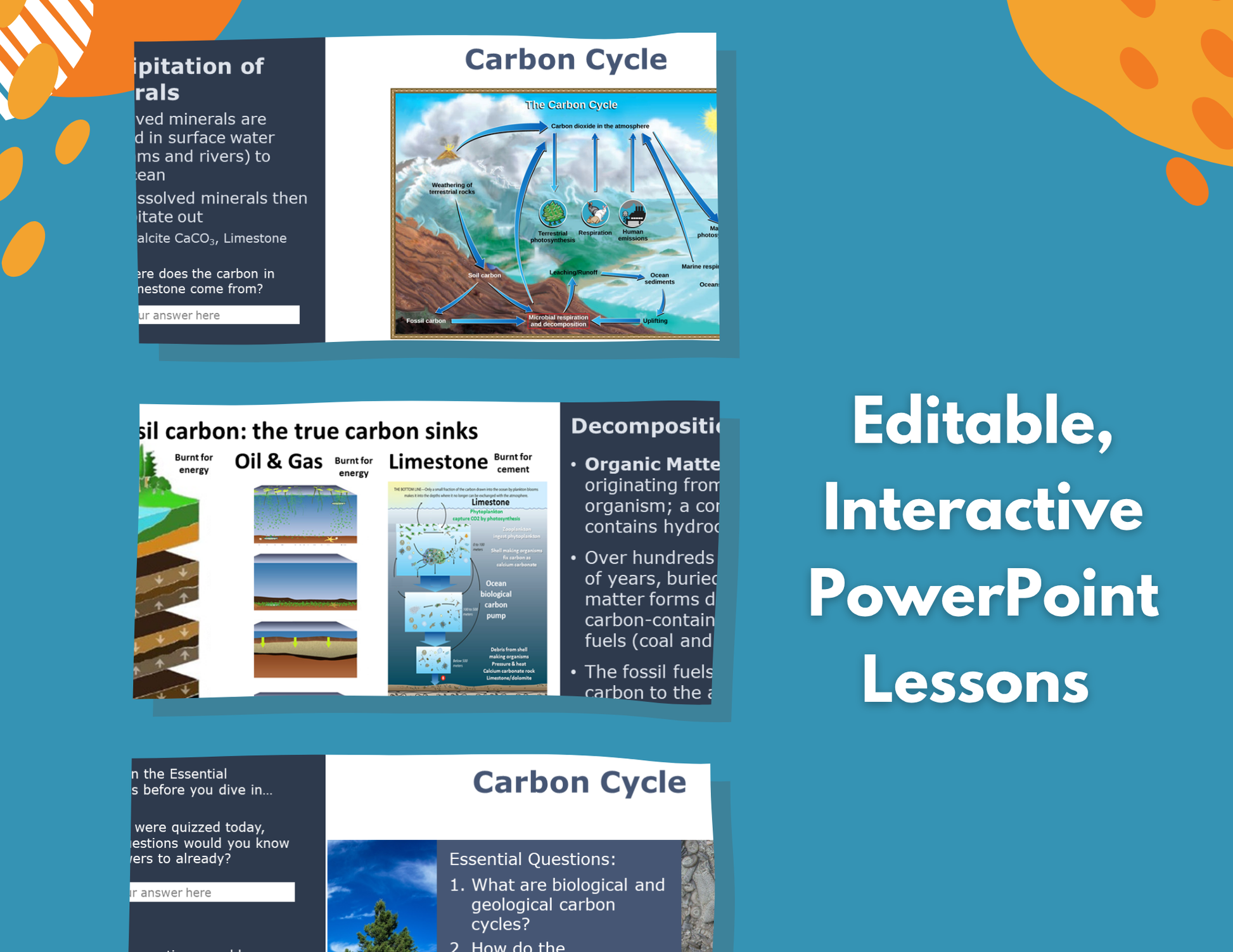 Carbon Cycle Complete Lesson Plan - MS