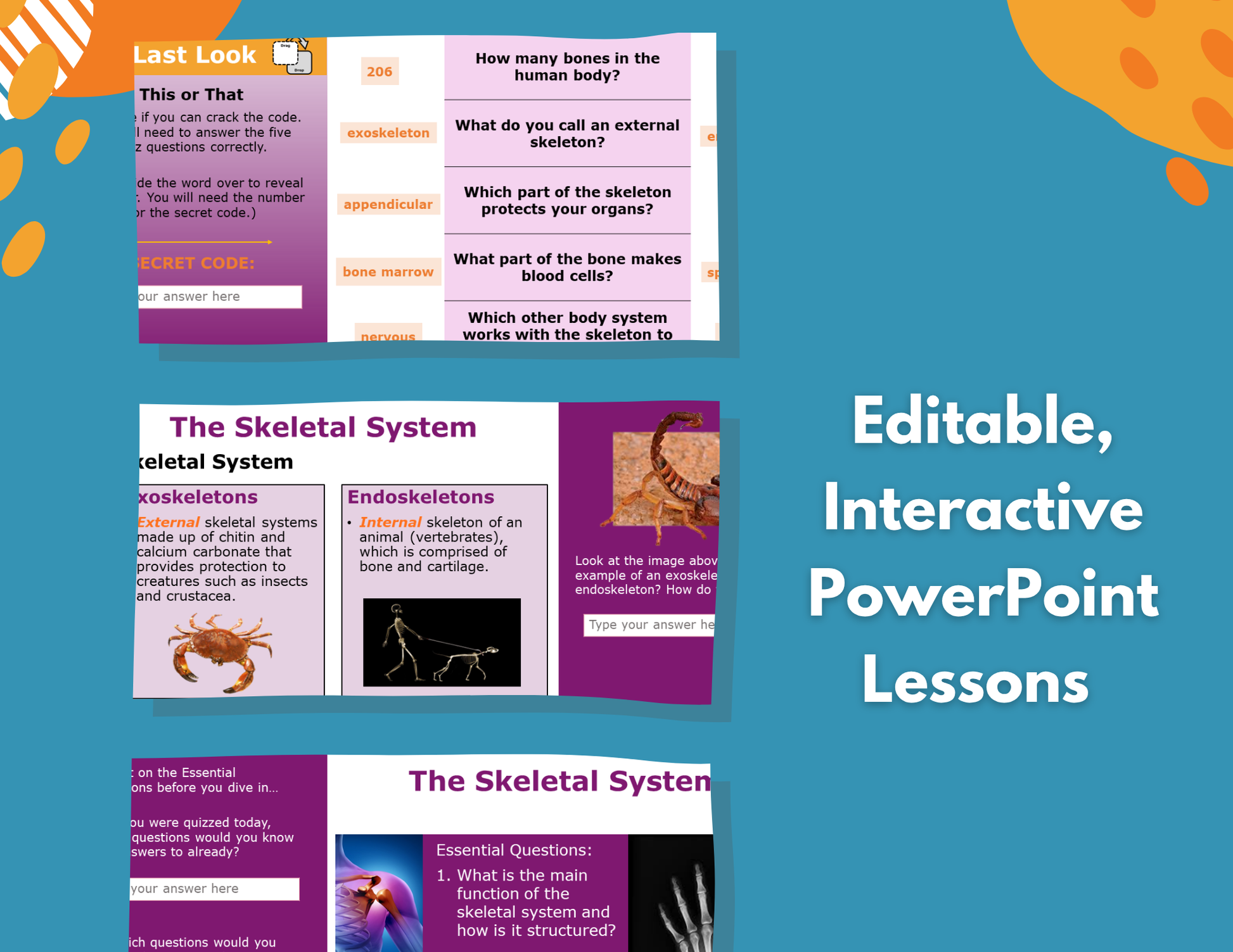 Skeletal System Complete Lesson Plan - MS