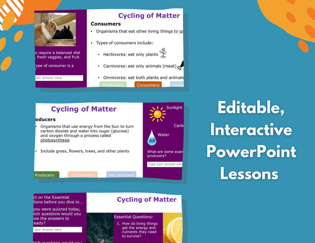 Cycling of Matter in an Ecosystem - Complete Lesson Plan - 5th Grade