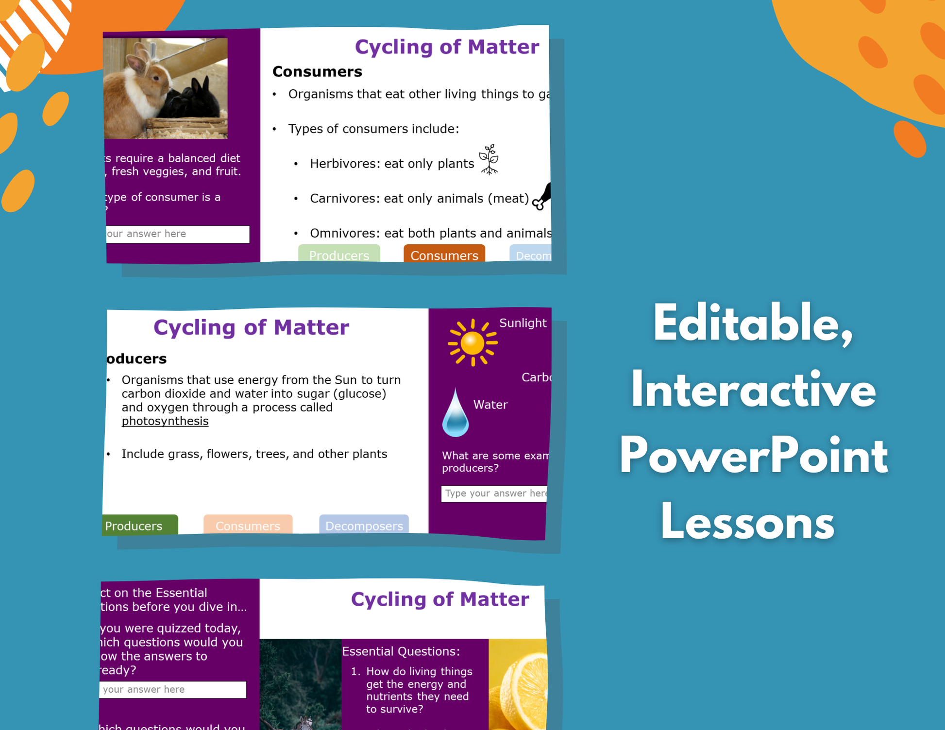 Cycling of Matter in an Ecosystem - Complete Lesson Plan - 5th Grade