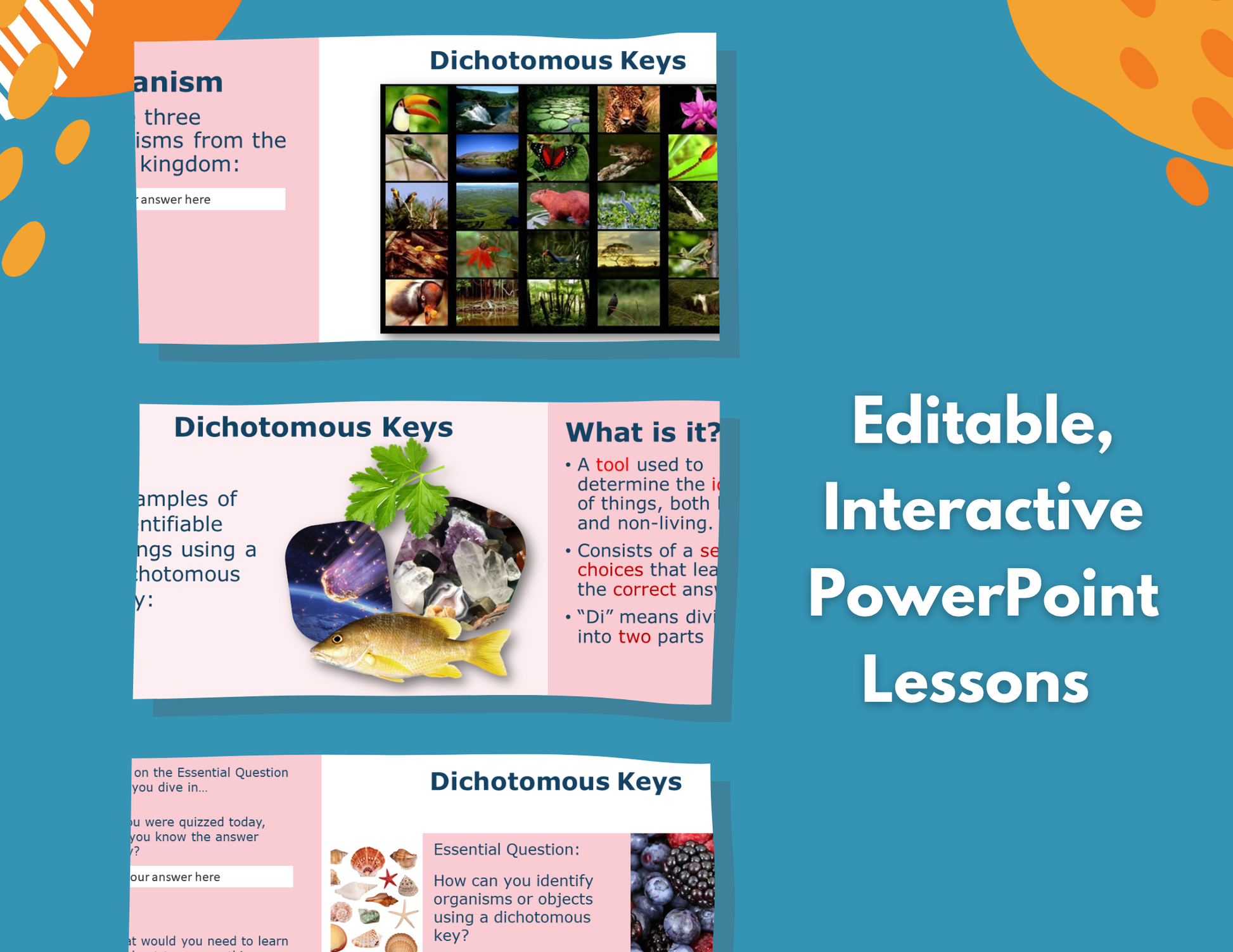 Dichotomous Keys Complete Lesson Plan - MS