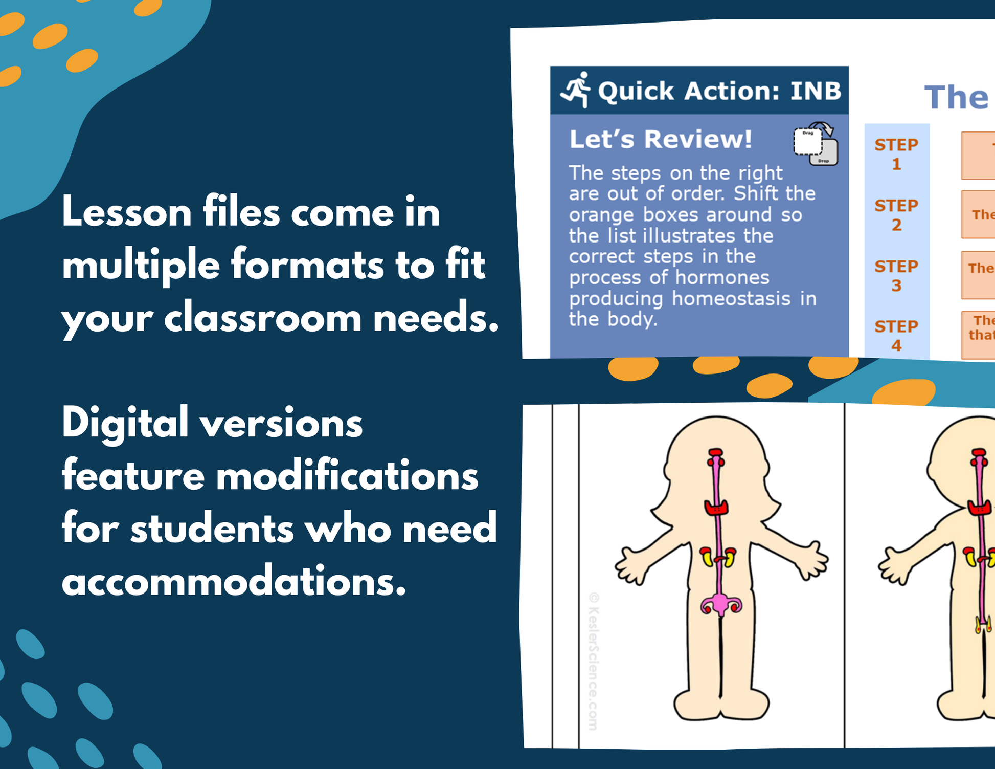 Endocrine System Complete Lesson Plan - MS