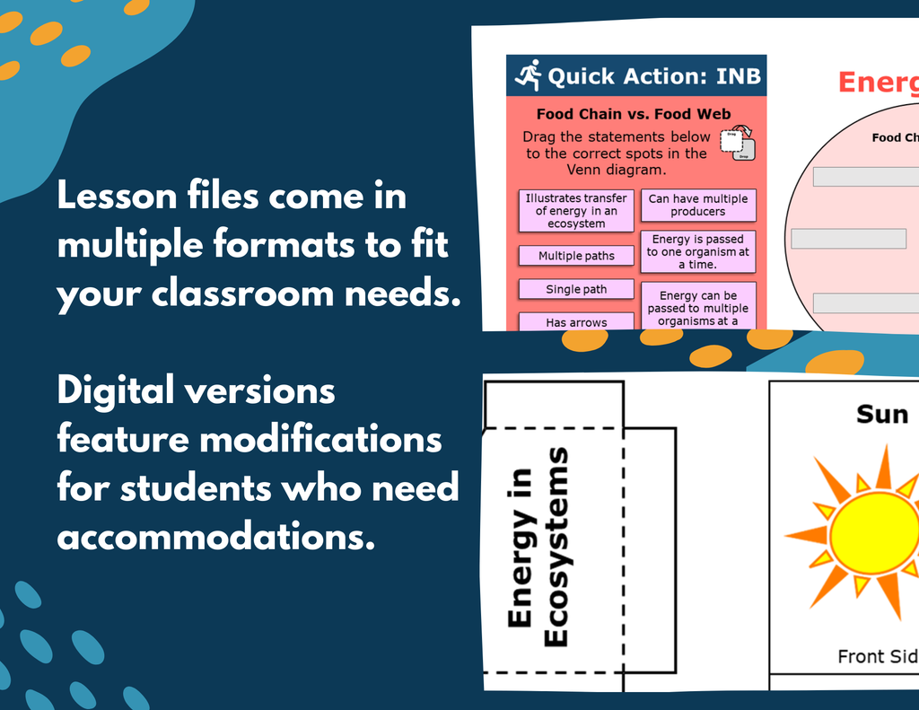 Energy in Ecosystems - Complete Lesson Plan - 5th Grade