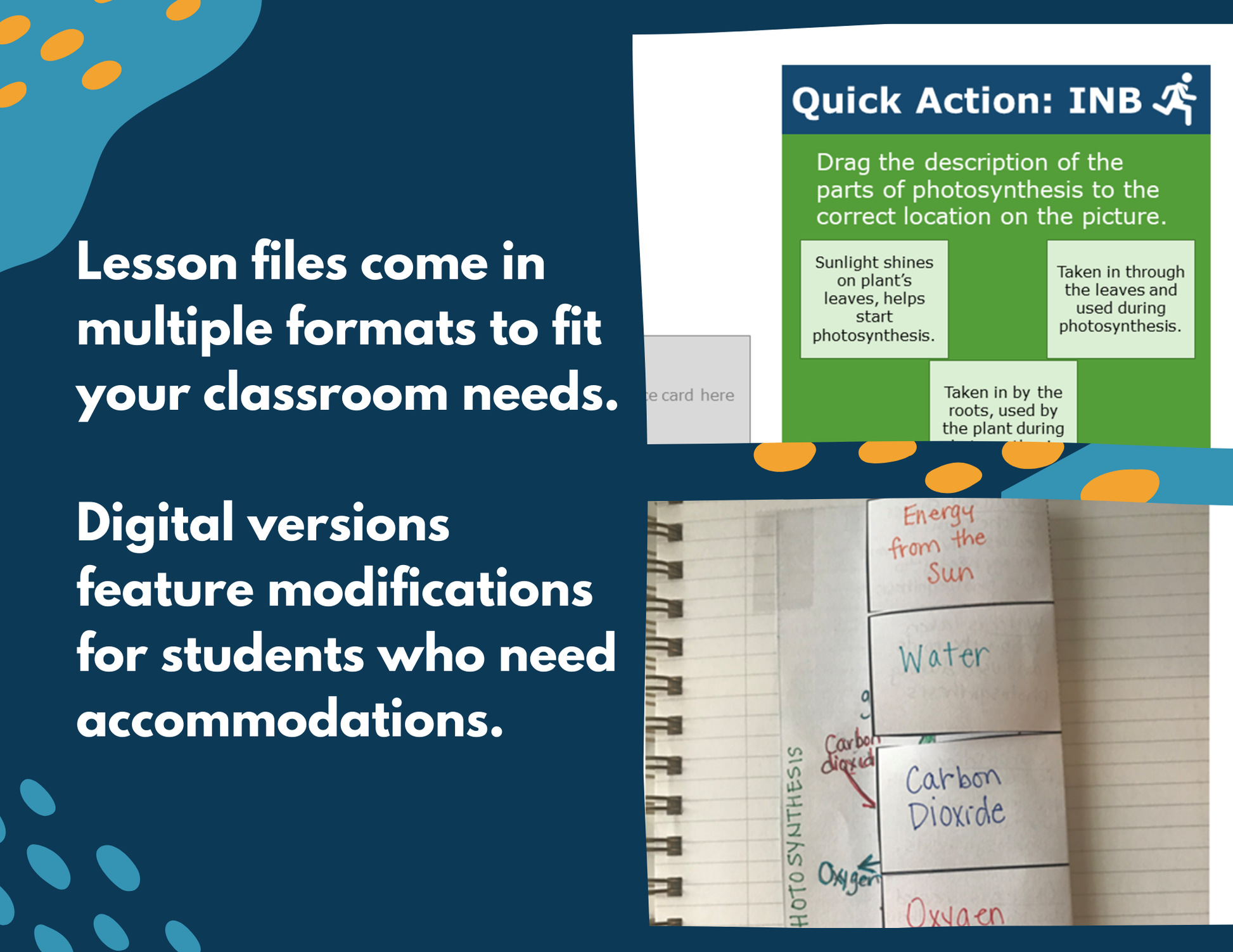 Plant Growth - Complete Lesson Plan - 5th Grade