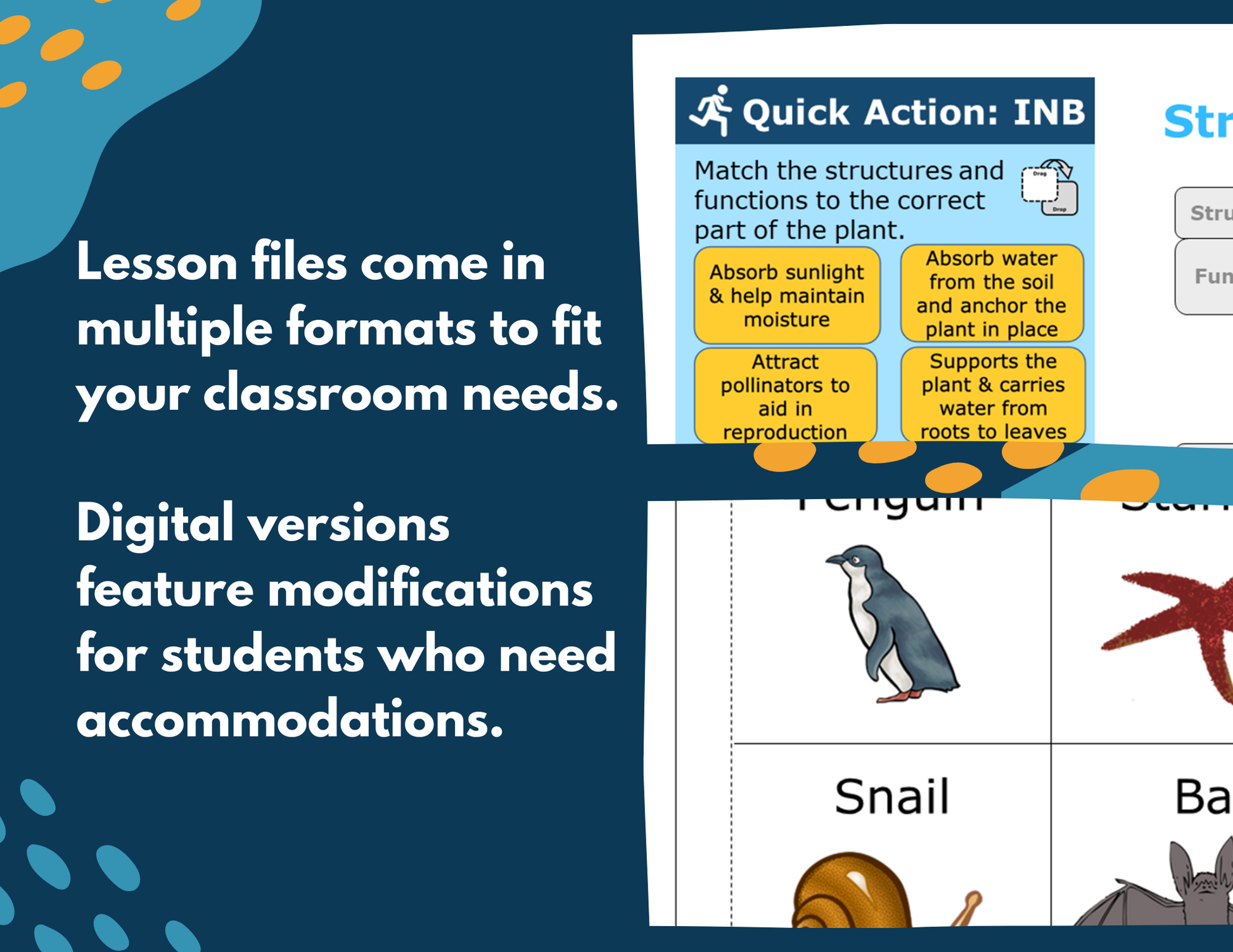 Structures & Behaviors - Complete Lesson Plan - 5th Grade