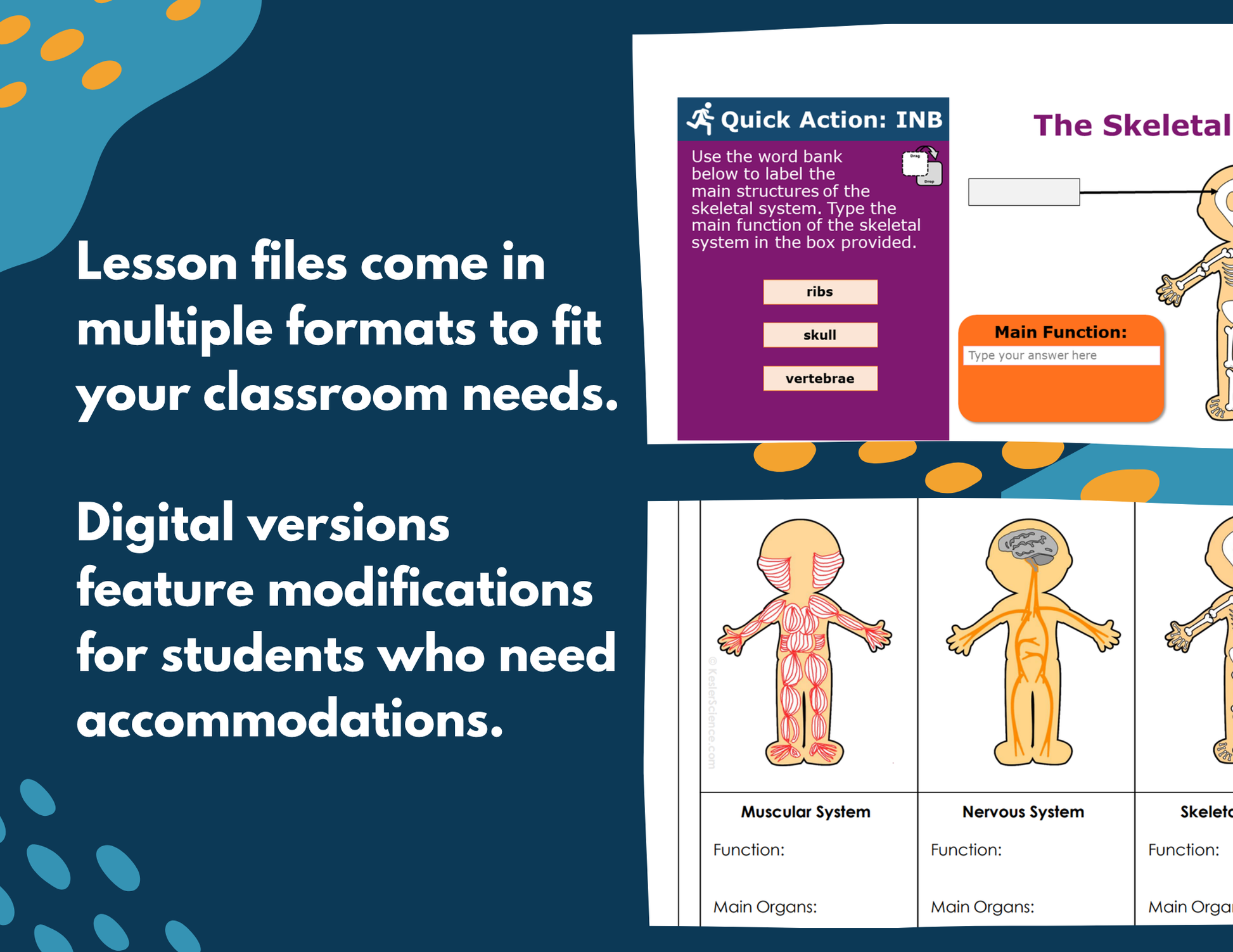 2021 TEKS MS 6-8 5E Lessons: Body Systems Bundle