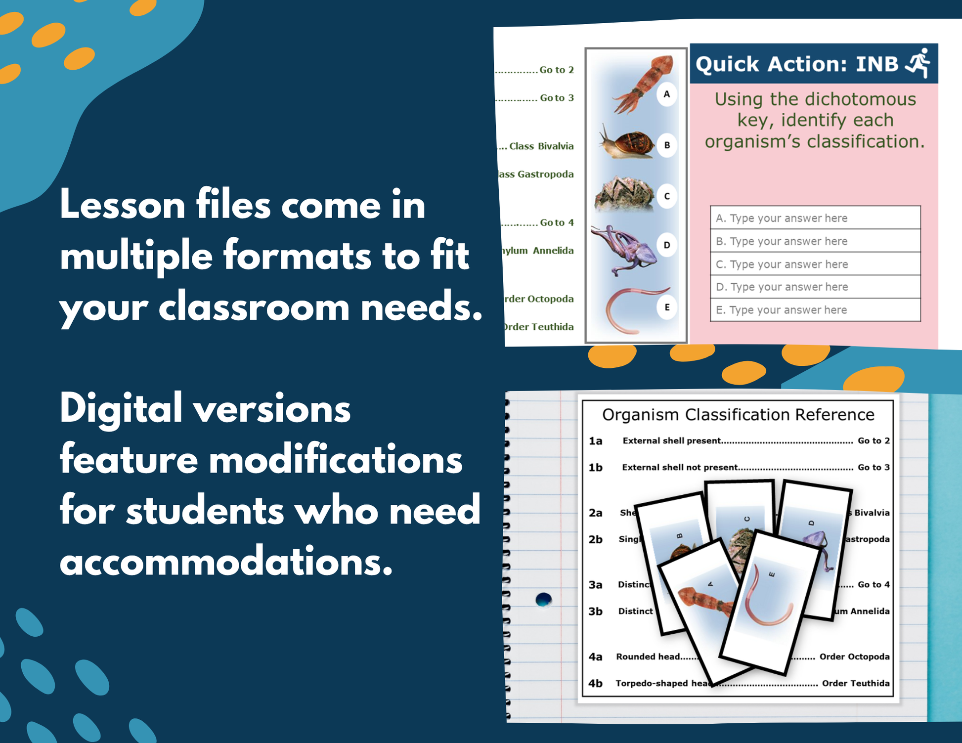 Dichotomous Keys Complete Lesson Plan - MS