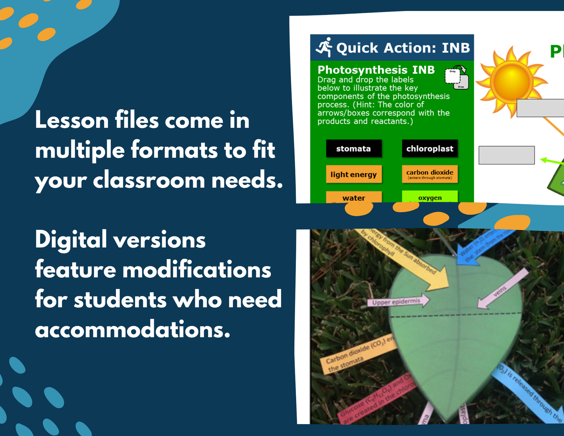 Photosynthesis Complete Lesson Plan - MS