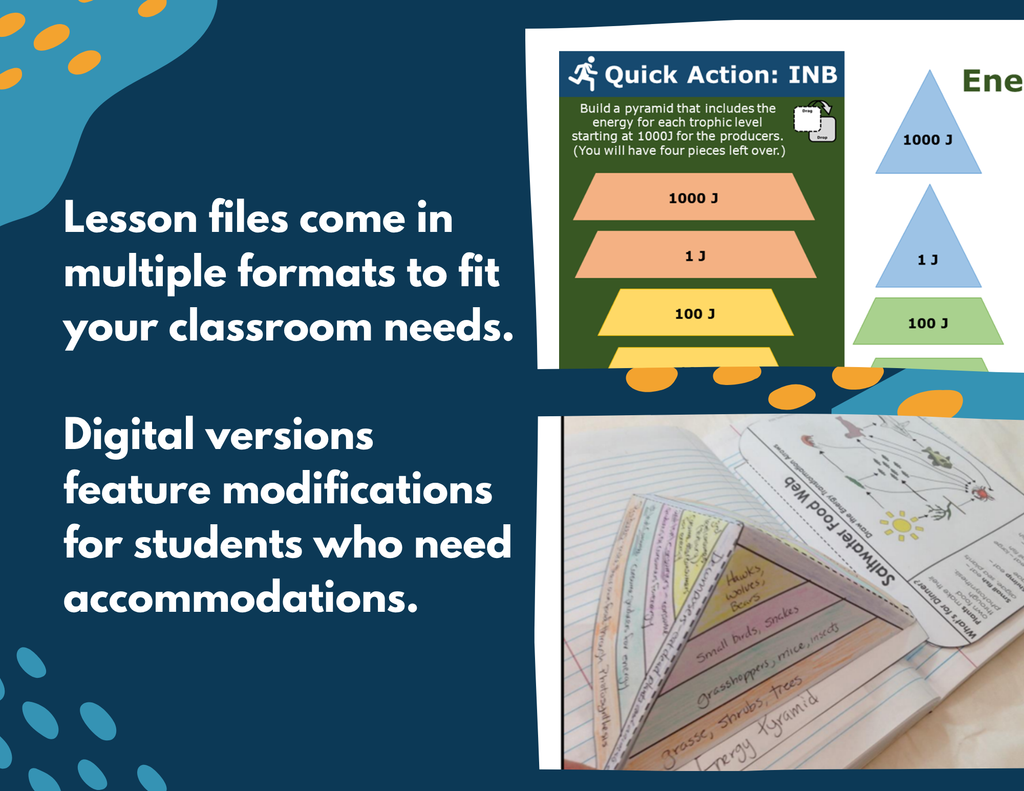 Energy Pyramids Complete Lesson Plan - MS