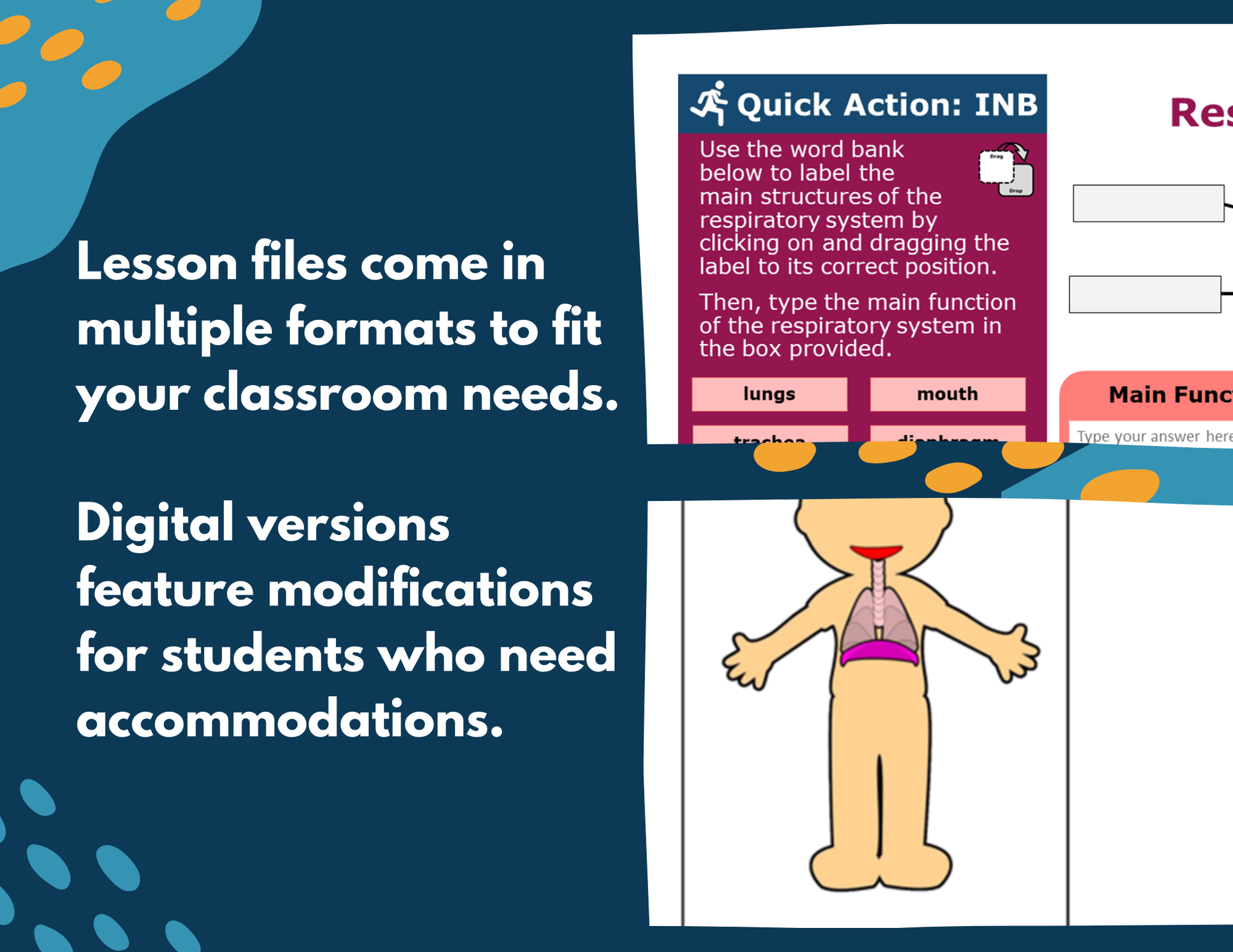 Respiratory System Complete Lesson Plan - MS