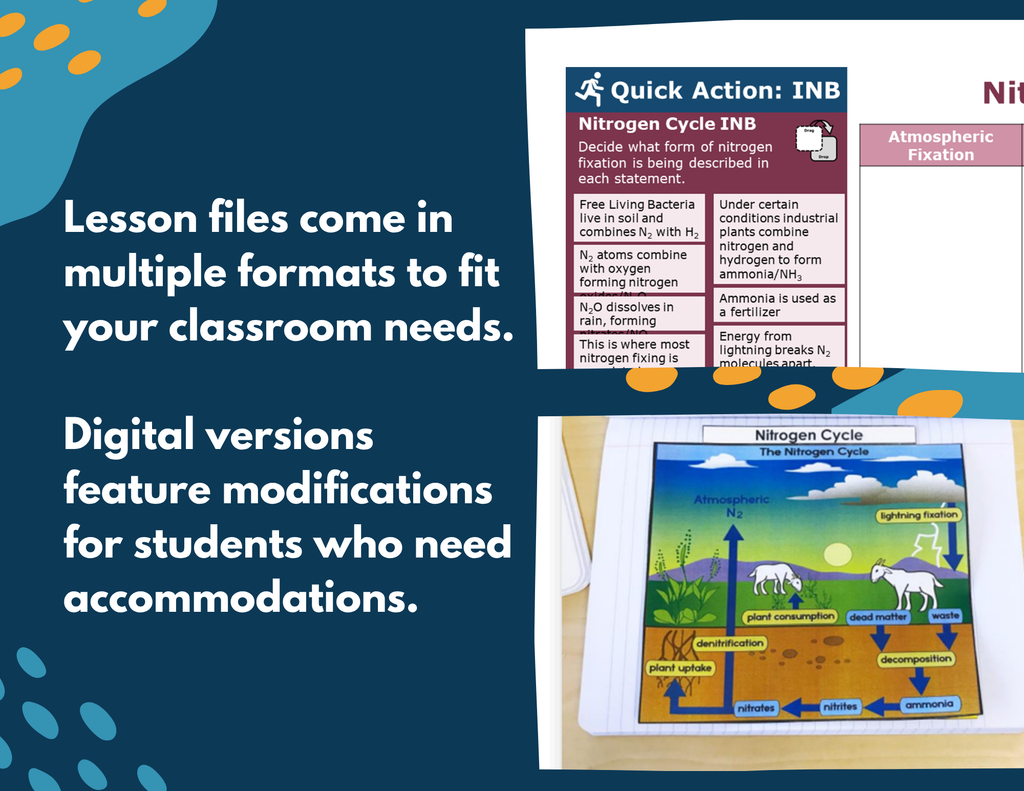 Nitrogen Cycle Complete Lesson Plan - MS