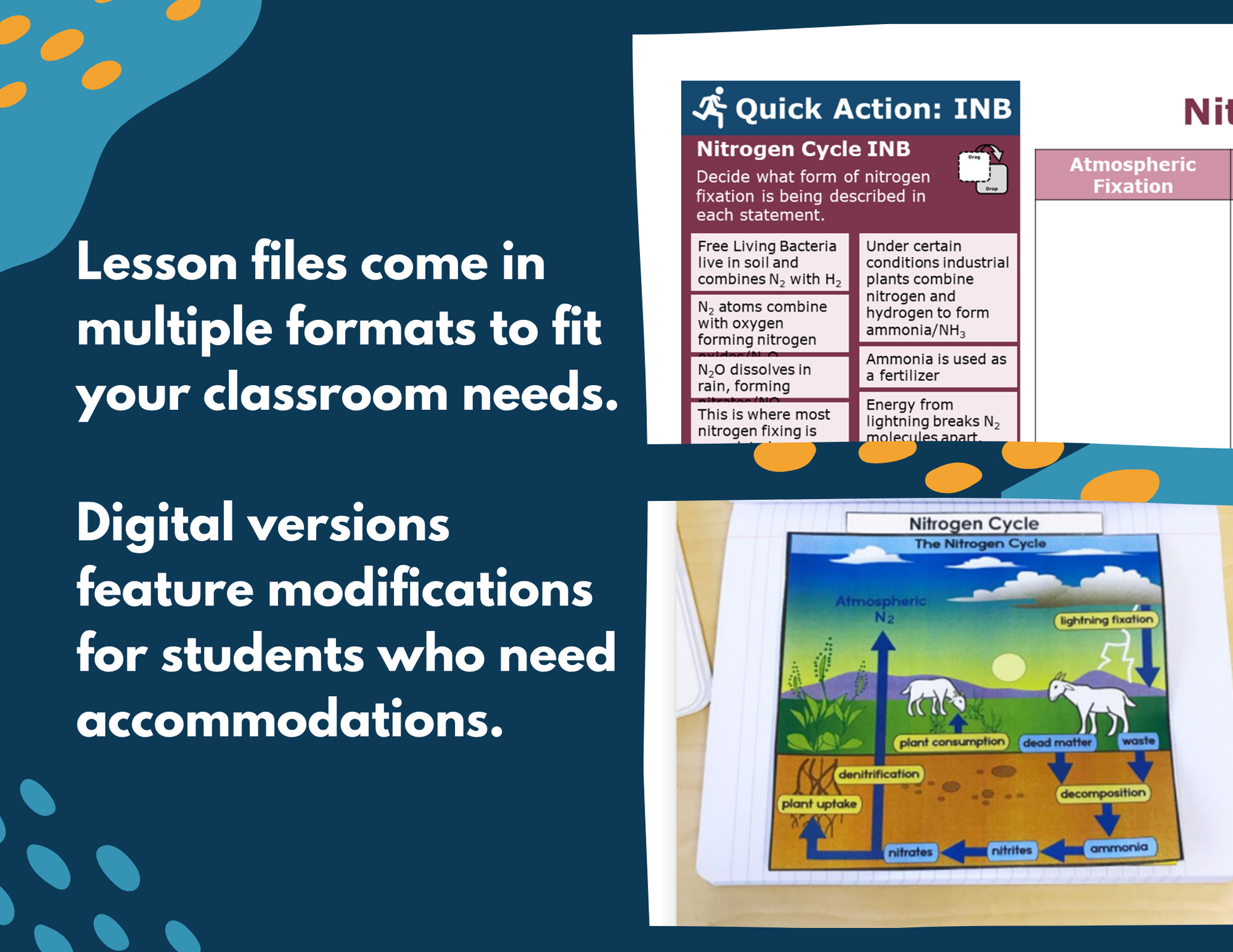 Nitrogen Cycle Complete Lesson Plan - MS