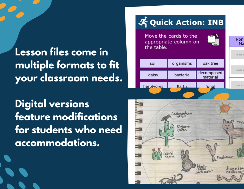 Cycling of Matter in an Ecosystem - Complete Lesson Plan - 5th Grade