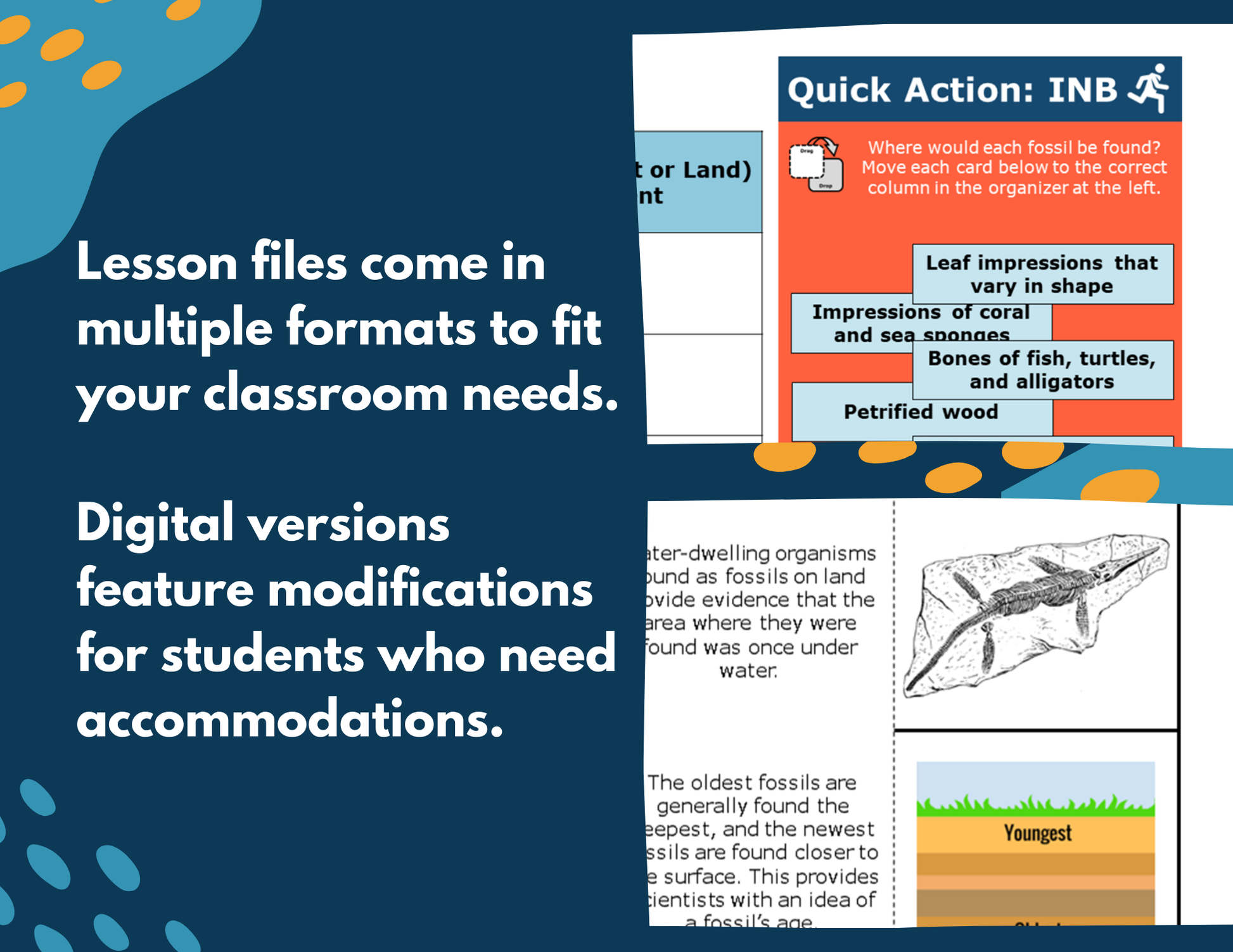 Fossil Evidence - Complete Lesson Plan - 5th Grade