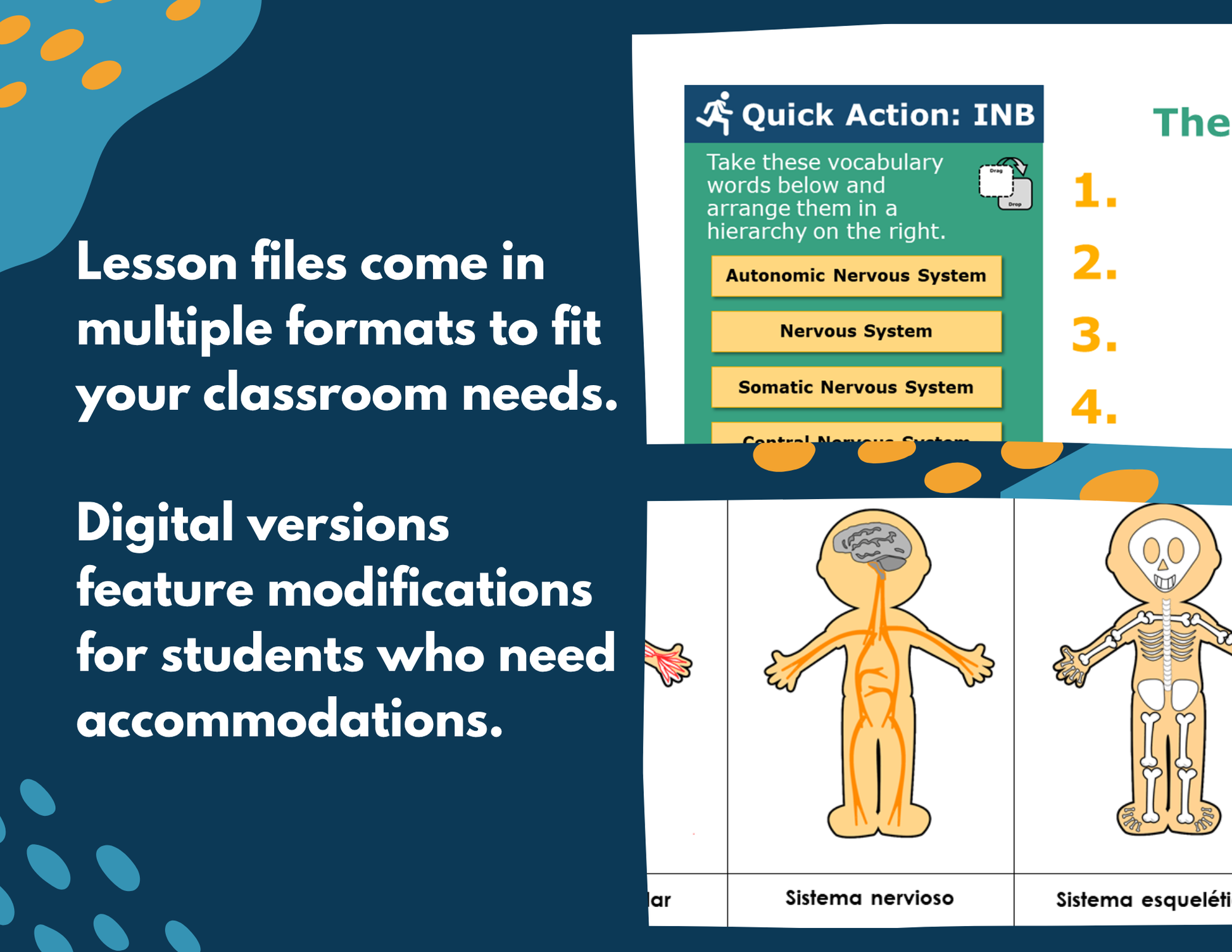 Nervous System Complete Lesson Plan - MS