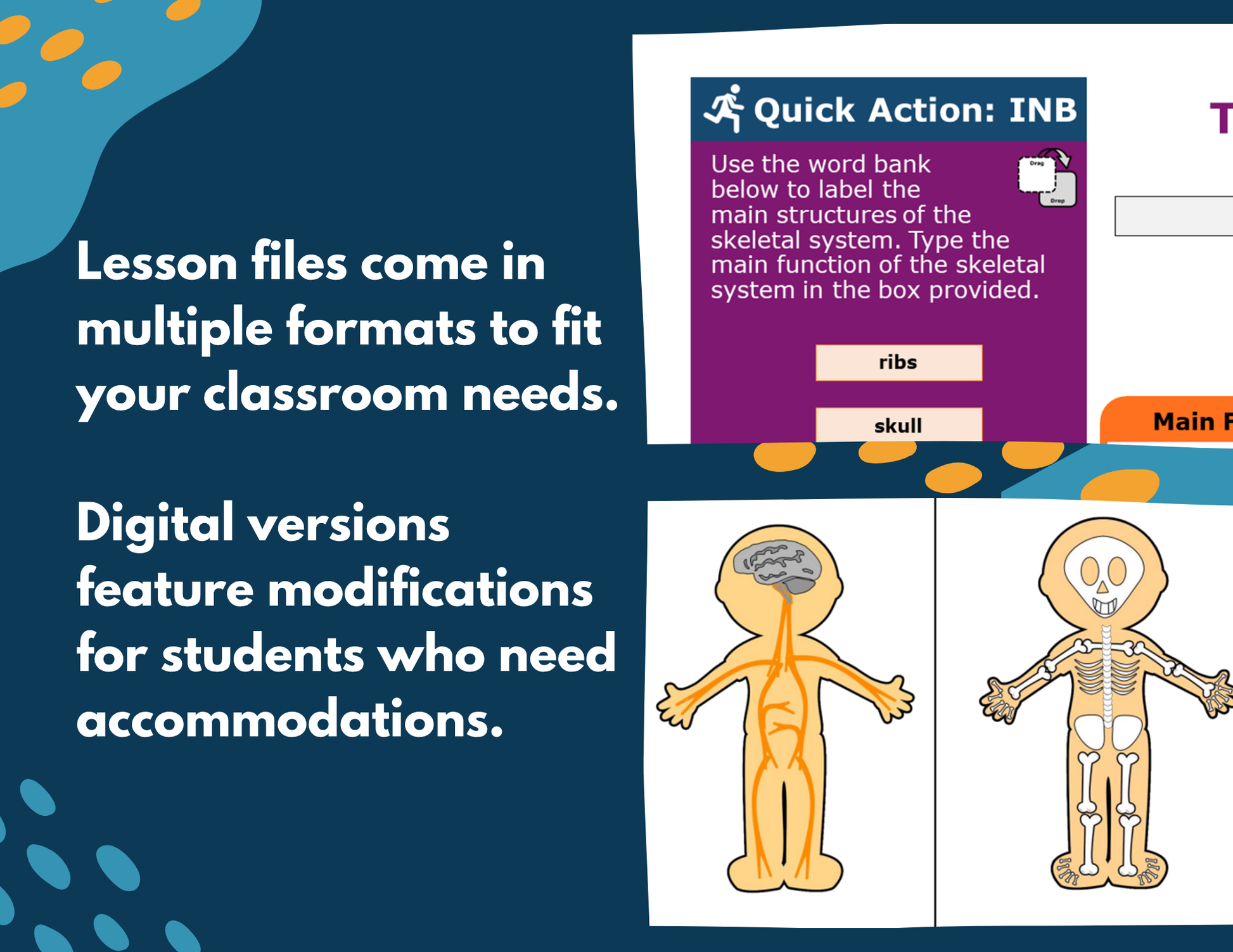 Skeletal System Complete Lesson Plan - MS