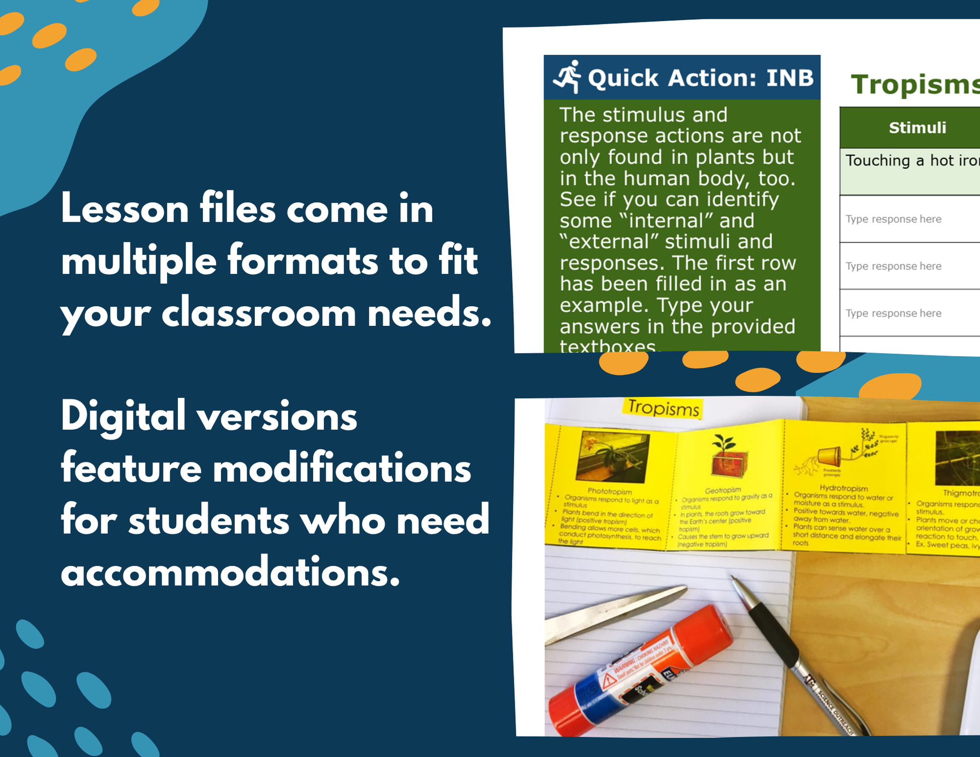 Tropisms & Turgor Pressure Complete Lesson Plan - MS