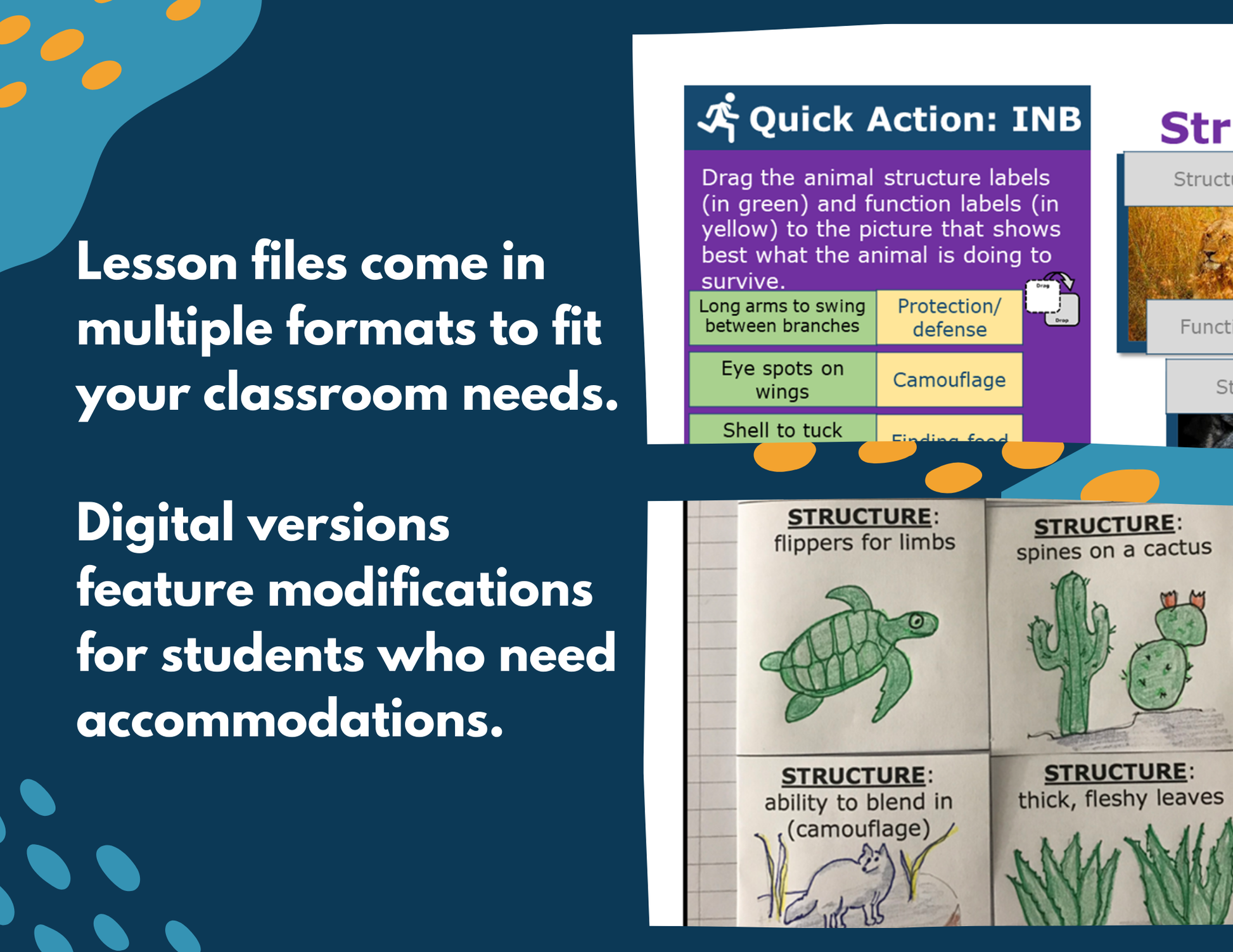 Structures & Functions - Complete Lesson Plan - Grades 4-6
