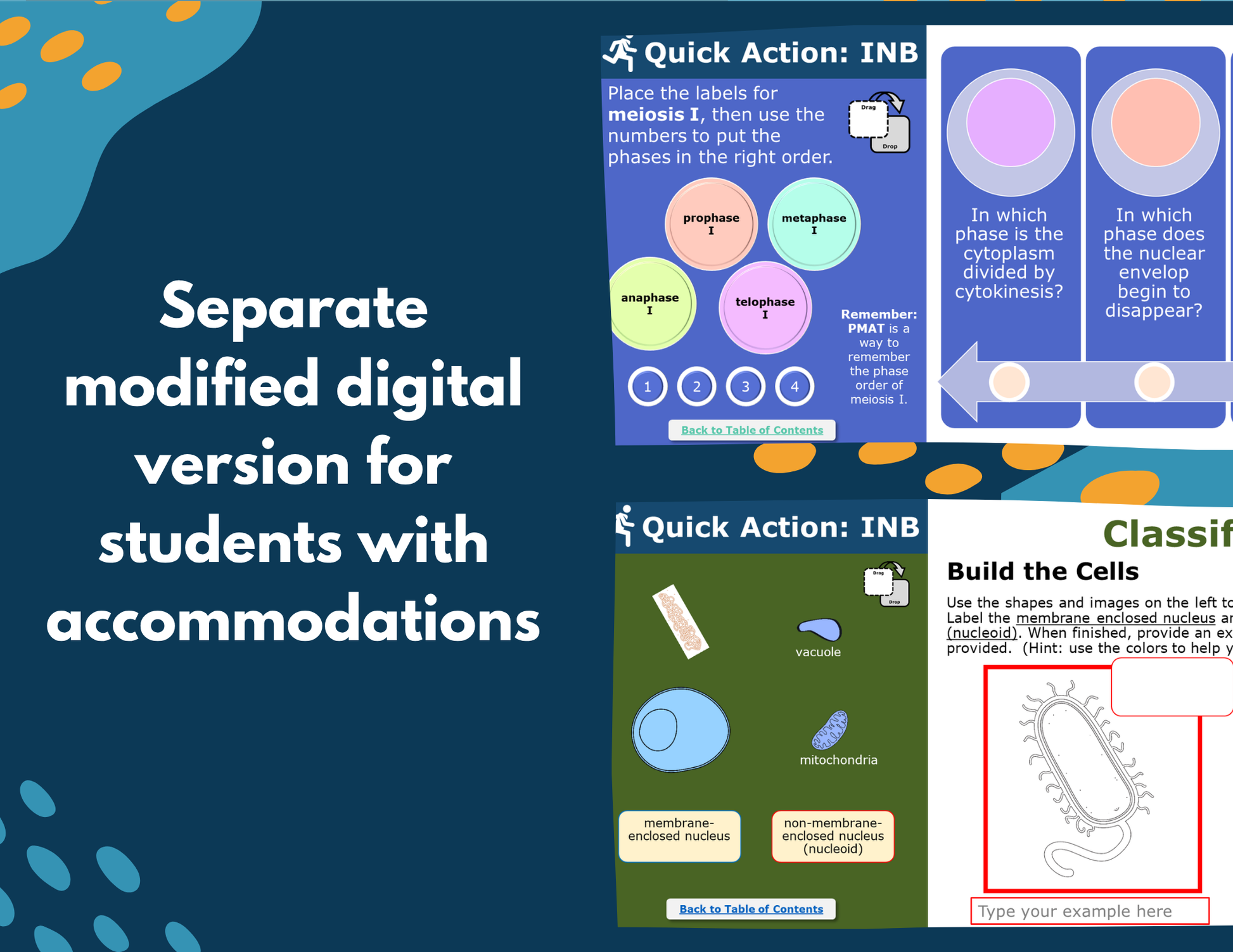 Structure of Life Interactive Notebook Pages - Digital & Print INB - MS 6-8