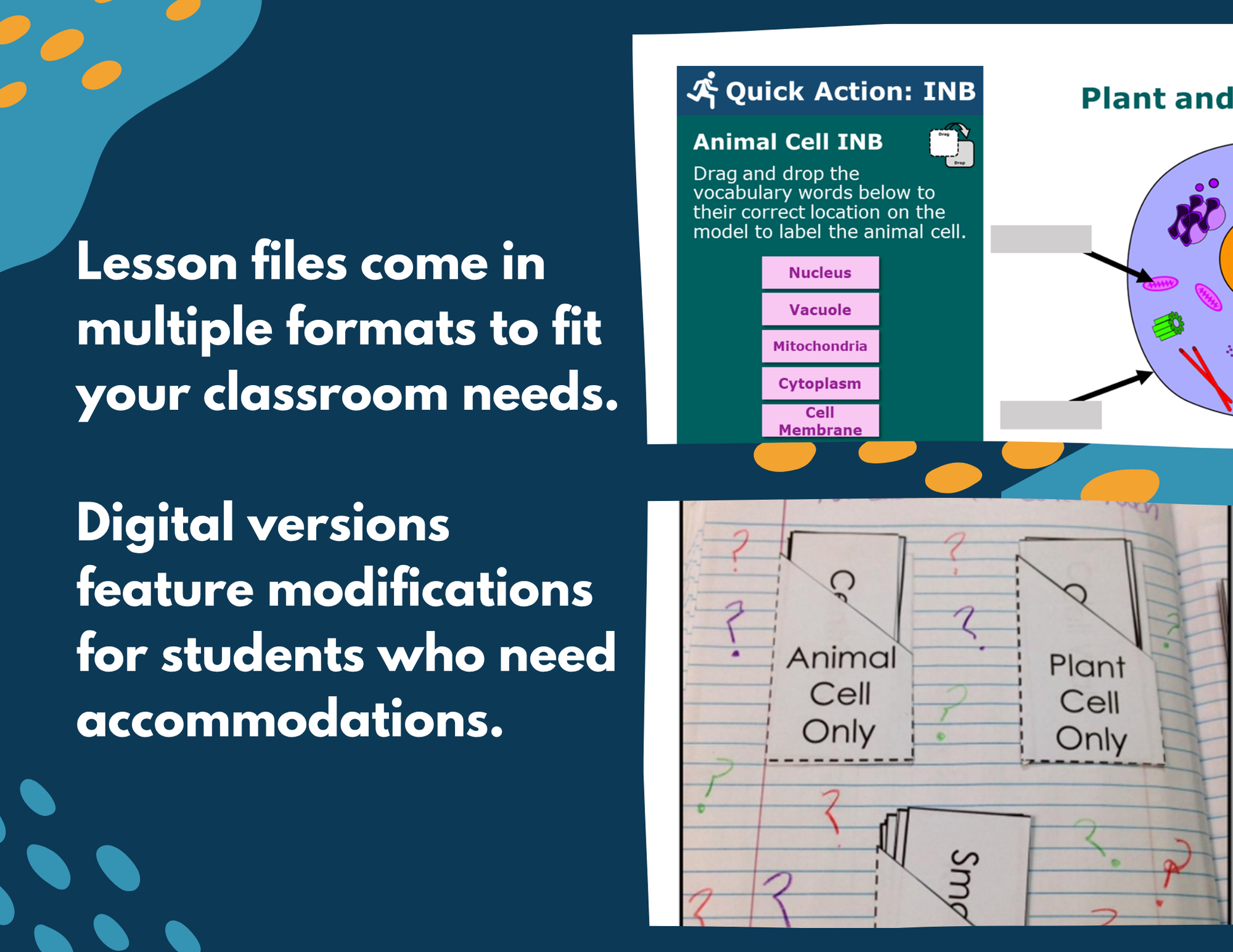 Plant & Animal Cells Complete Lesson Plan - MS