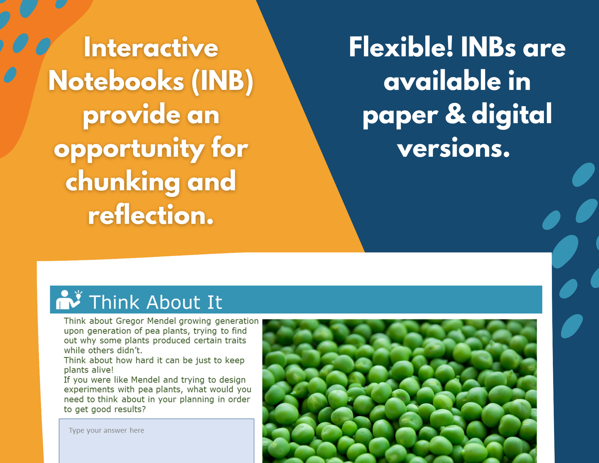 Structure of Life Interactive Notebook Pages - Digital & Print INB - MS 6-8