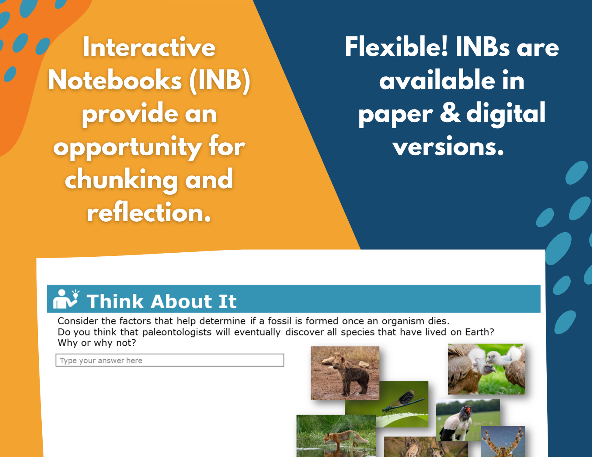 2021 TEKS MS 6-8 5E Lessons: Earth Science Bundle