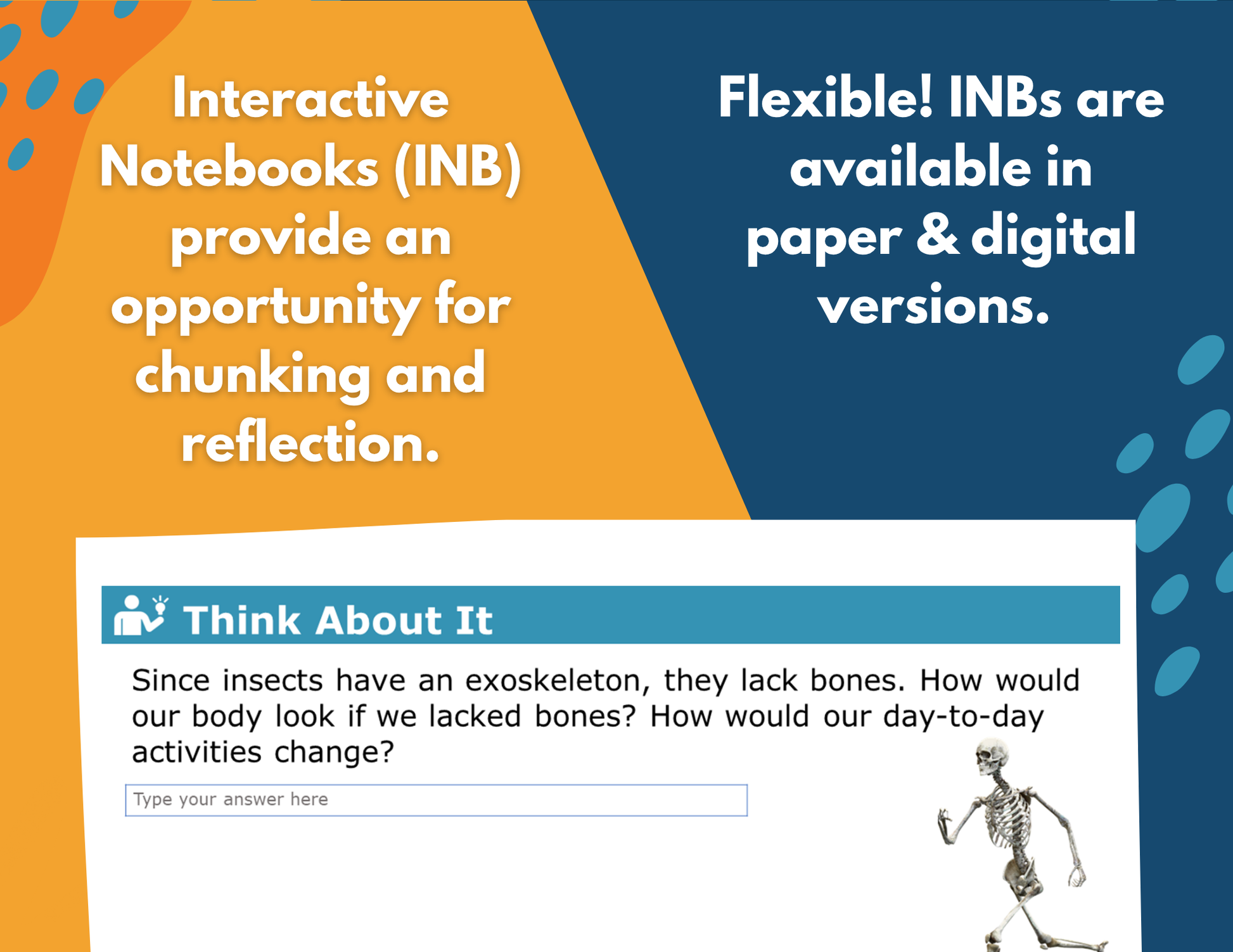 Skeletal System Complete Lesson Plan - MS