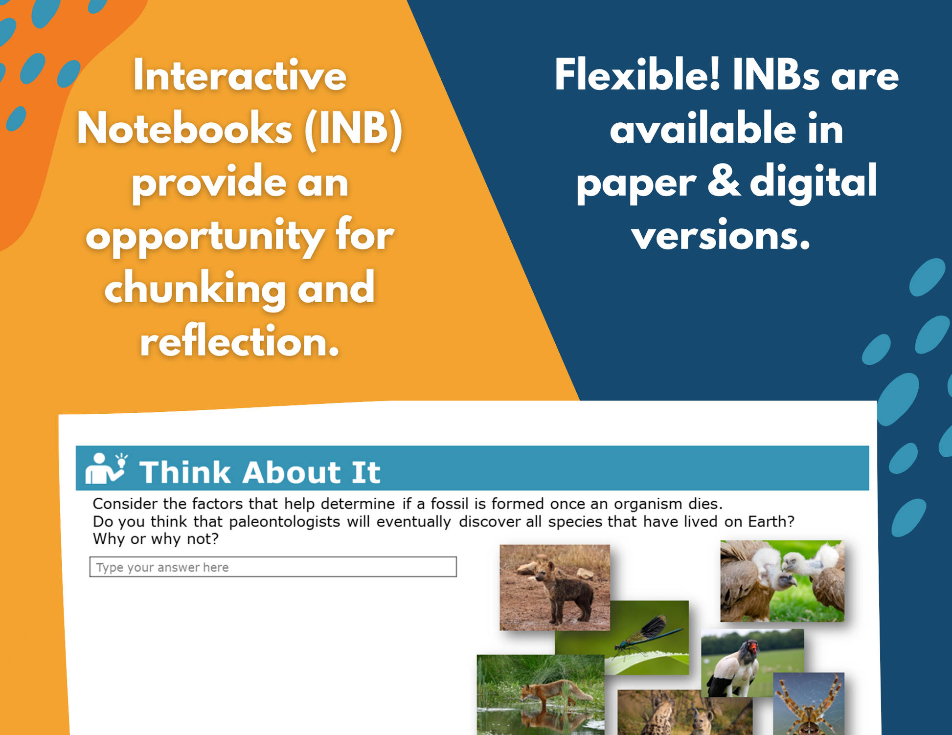 Earth Science Interactive Notebook Pages - Digital & Print INB - MS 6-8