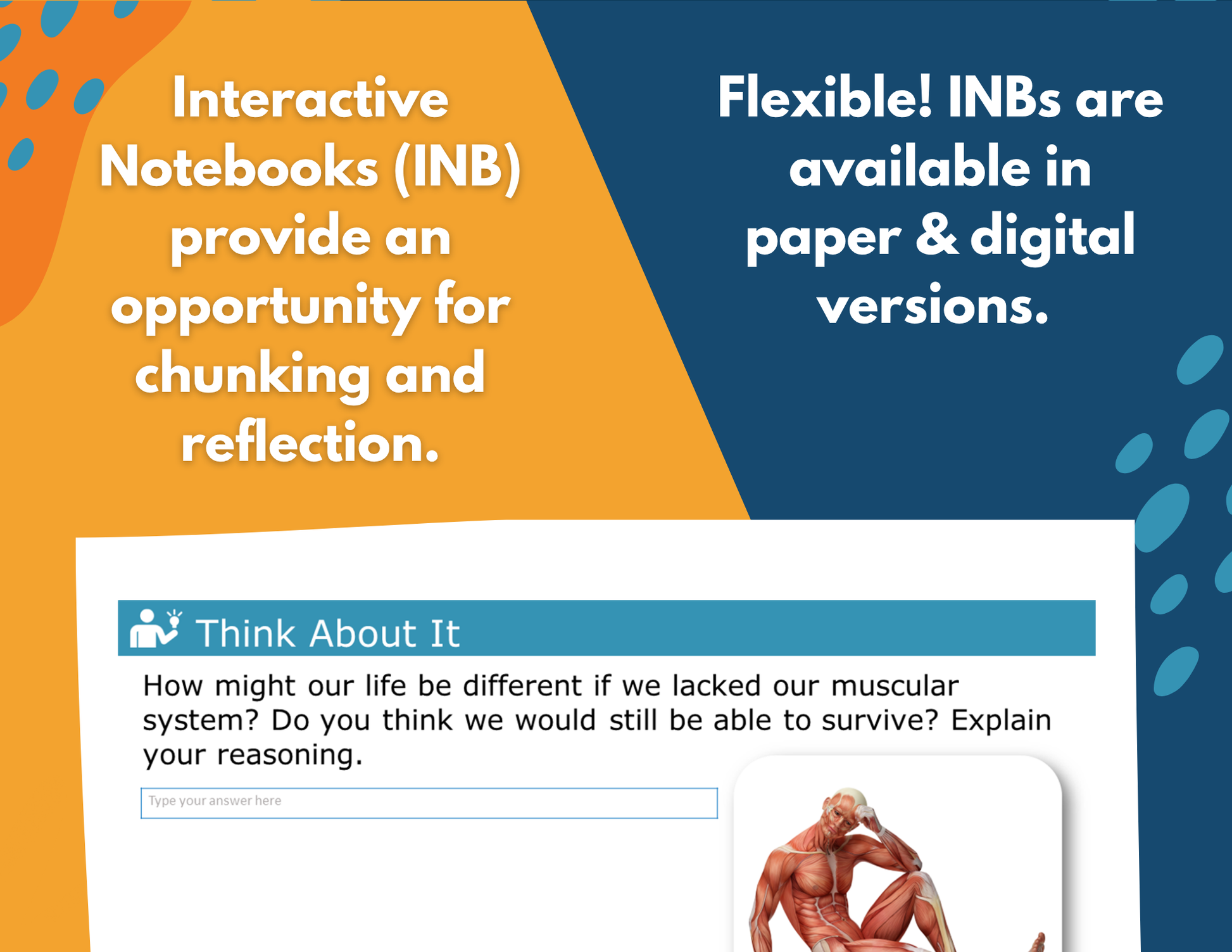 Muscular System Complete Lesson Plan - MS