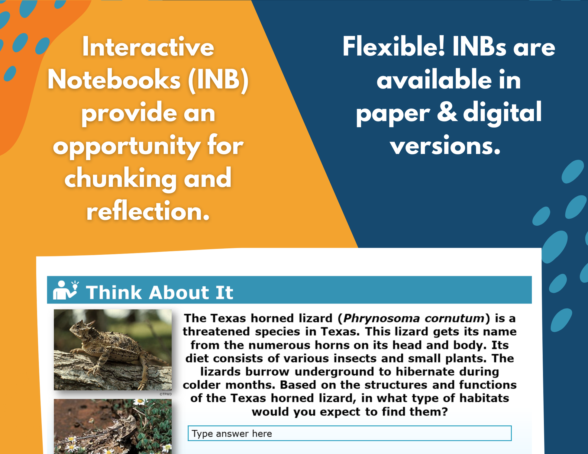 Structures & Behaviors - Complete Lesson Plan - 5th Grade