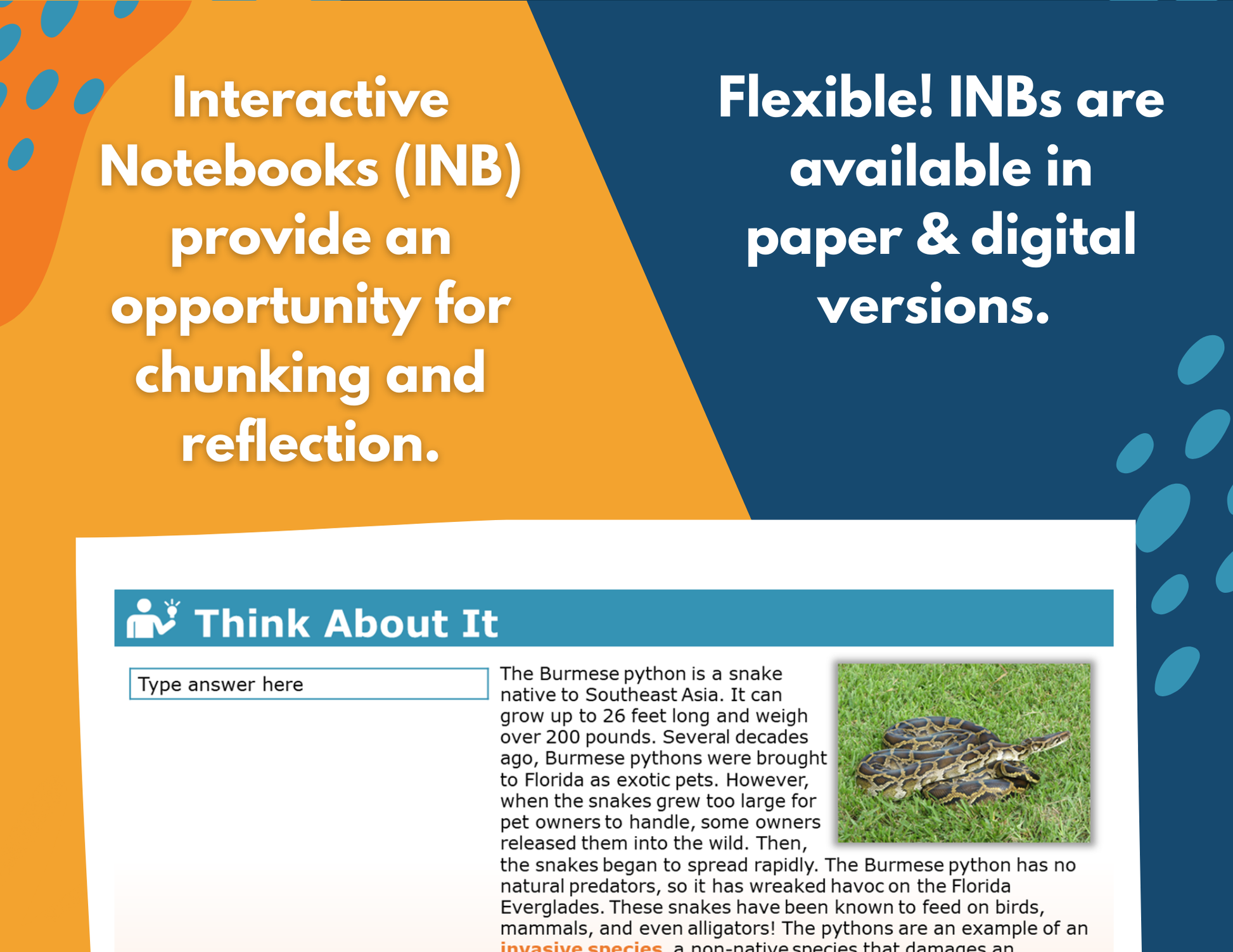 Impacts on Ecosystems - Complete Lesson Plan - 5th Grade