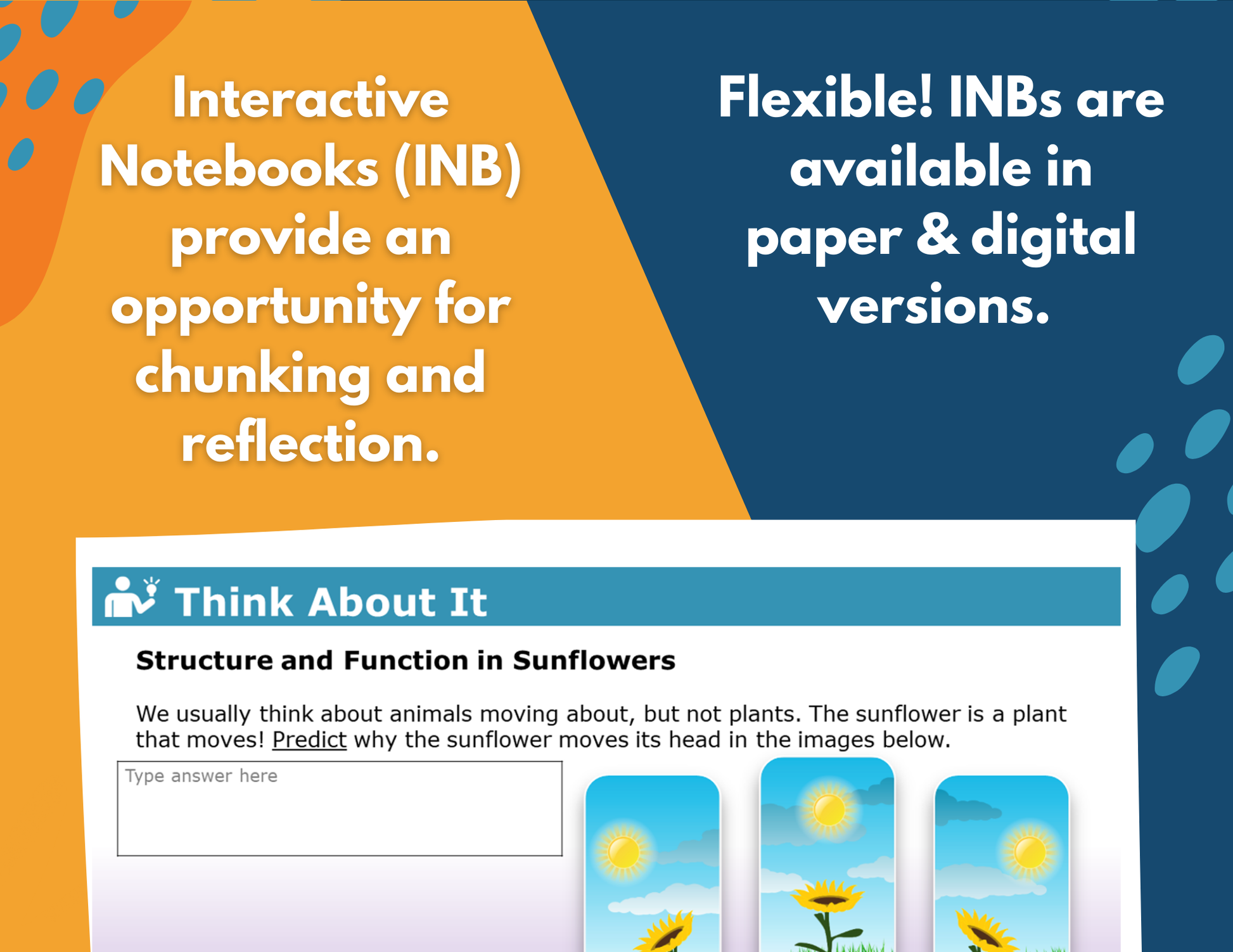 Structures & Functions - Complete Lesson Plan - Grades 4-6
