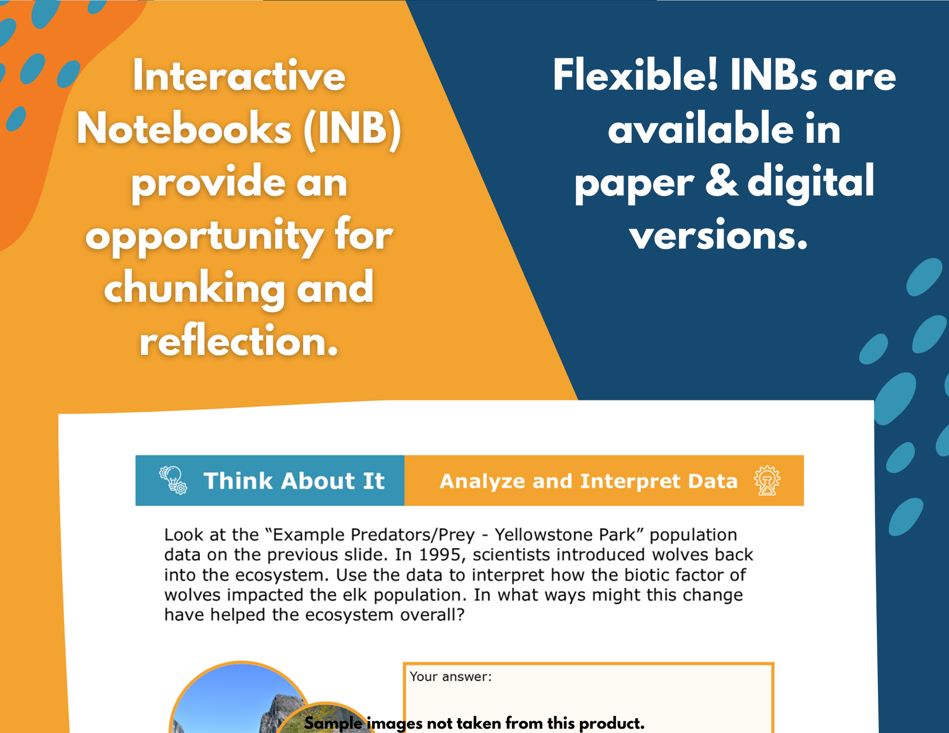 Biotic & Abiotic Interactions Complete Science Lesson - Grade 5, New TEKS 5.12A