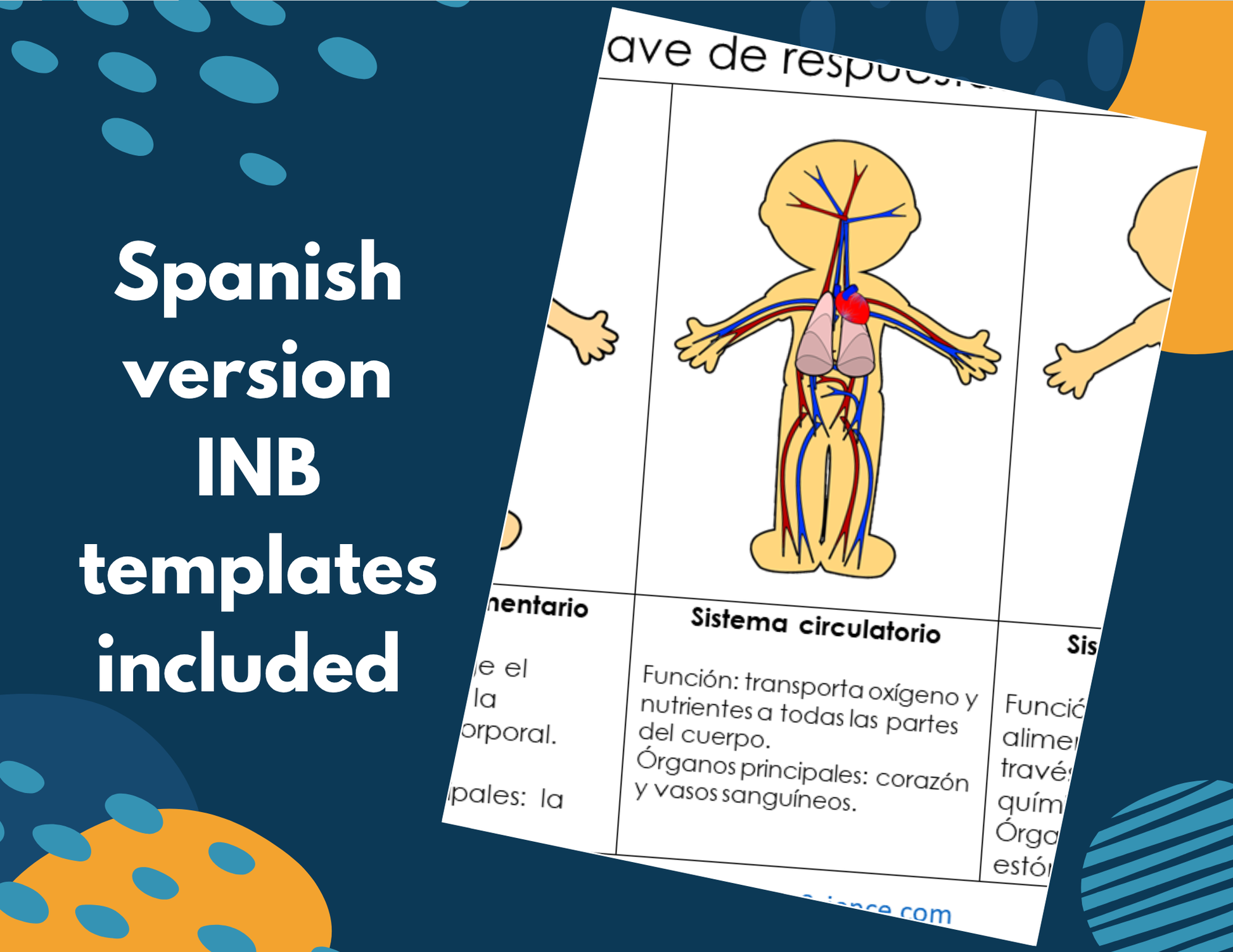 Circulatory System Complete Lesson Plan - MS