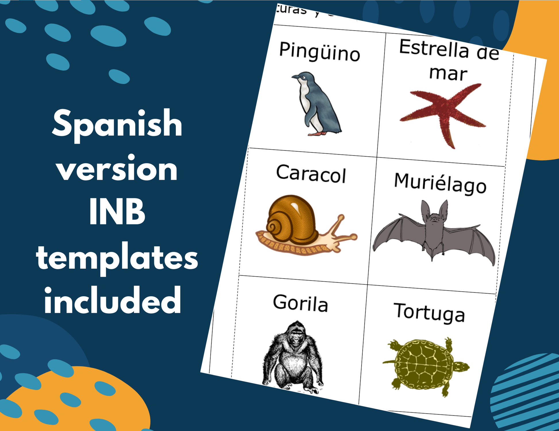 Structures & Behaviors - Complete Lesson Plan - 5th Grade