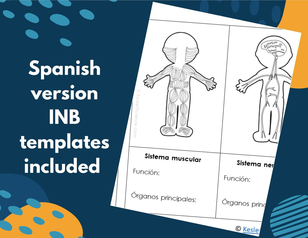 MS 6-8 Body Systems 5E Lessons Bundle