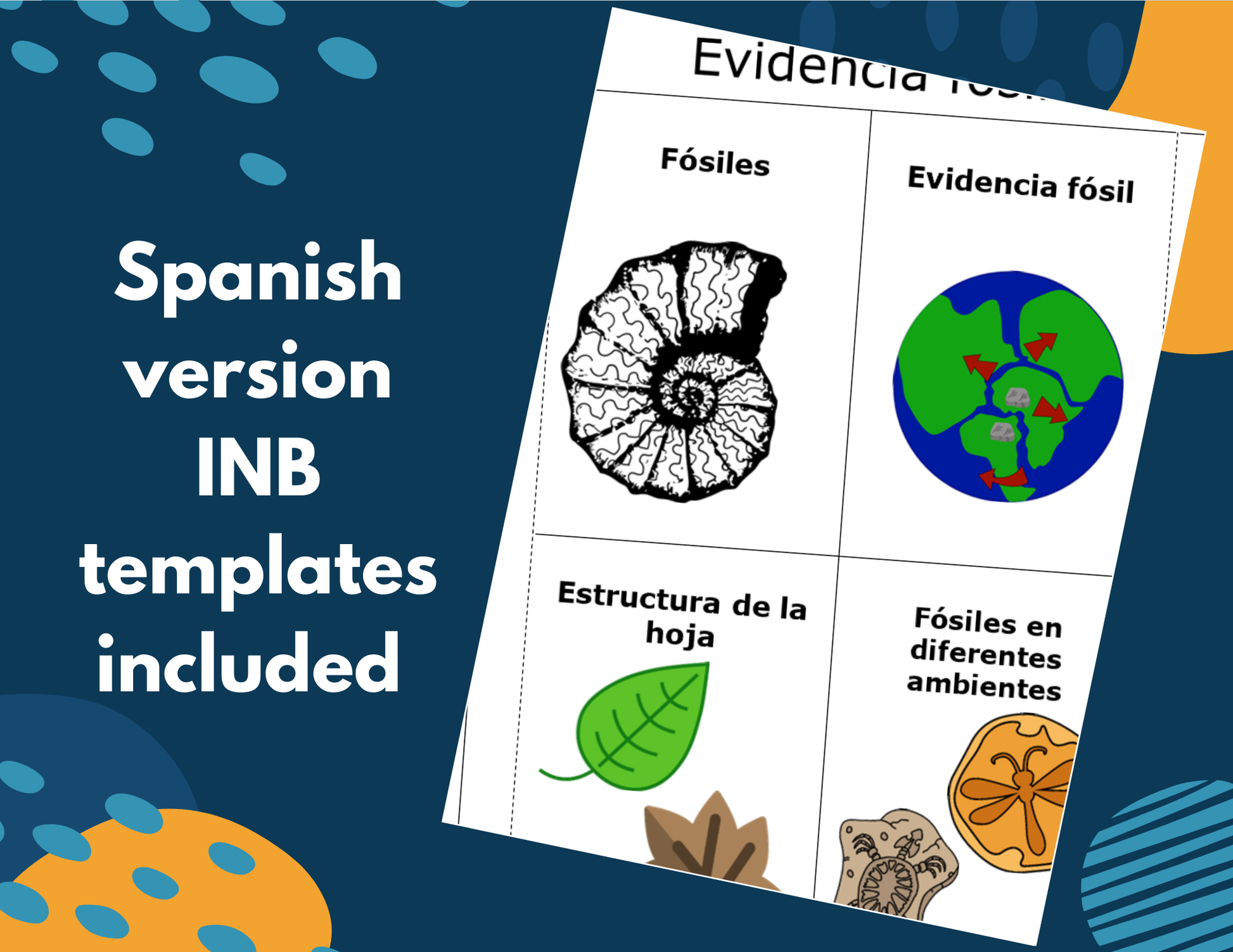 Fossil Evidence - Complete Lesson Plan - 5th Grade