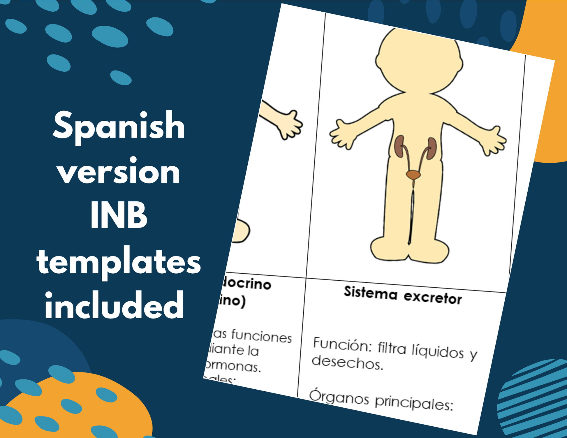 Excretory System Complete Lesson Plan - MS
