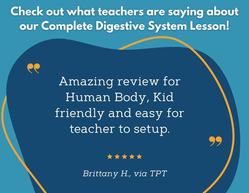 Digestive System Complete Lesson Plan - MS
