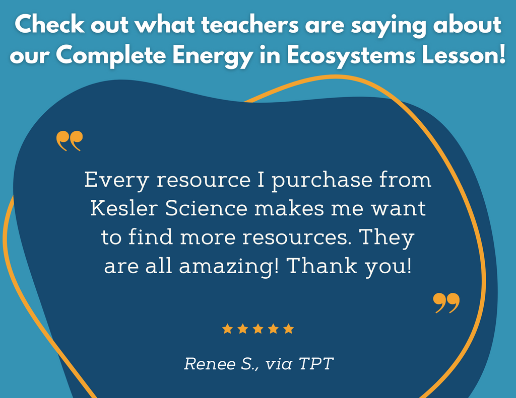 Energy in Ecosystems - Complete Lesson Plan - 5th Grade