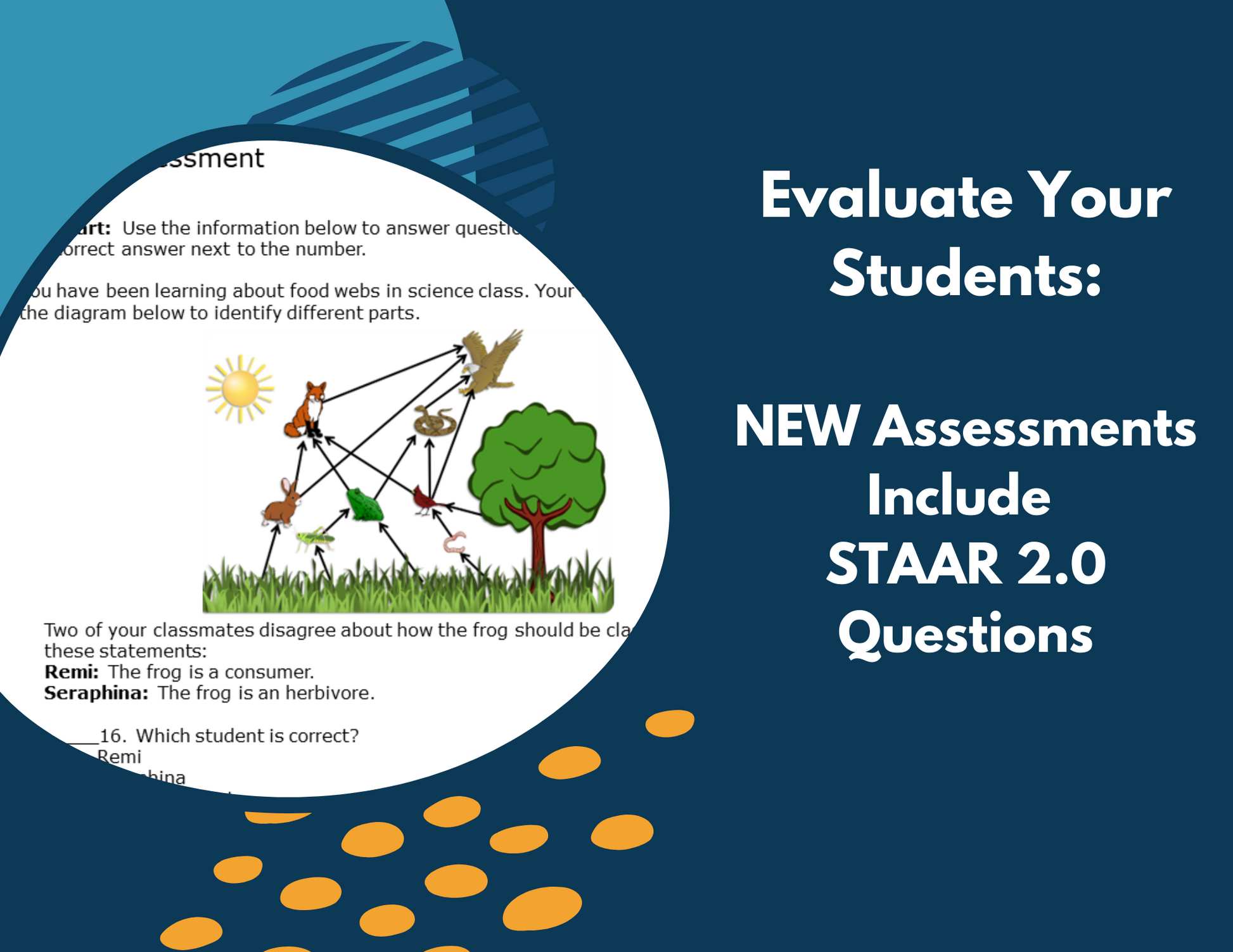 Energy in Ecosystems - Complete Lesson Plan - 5th Grade