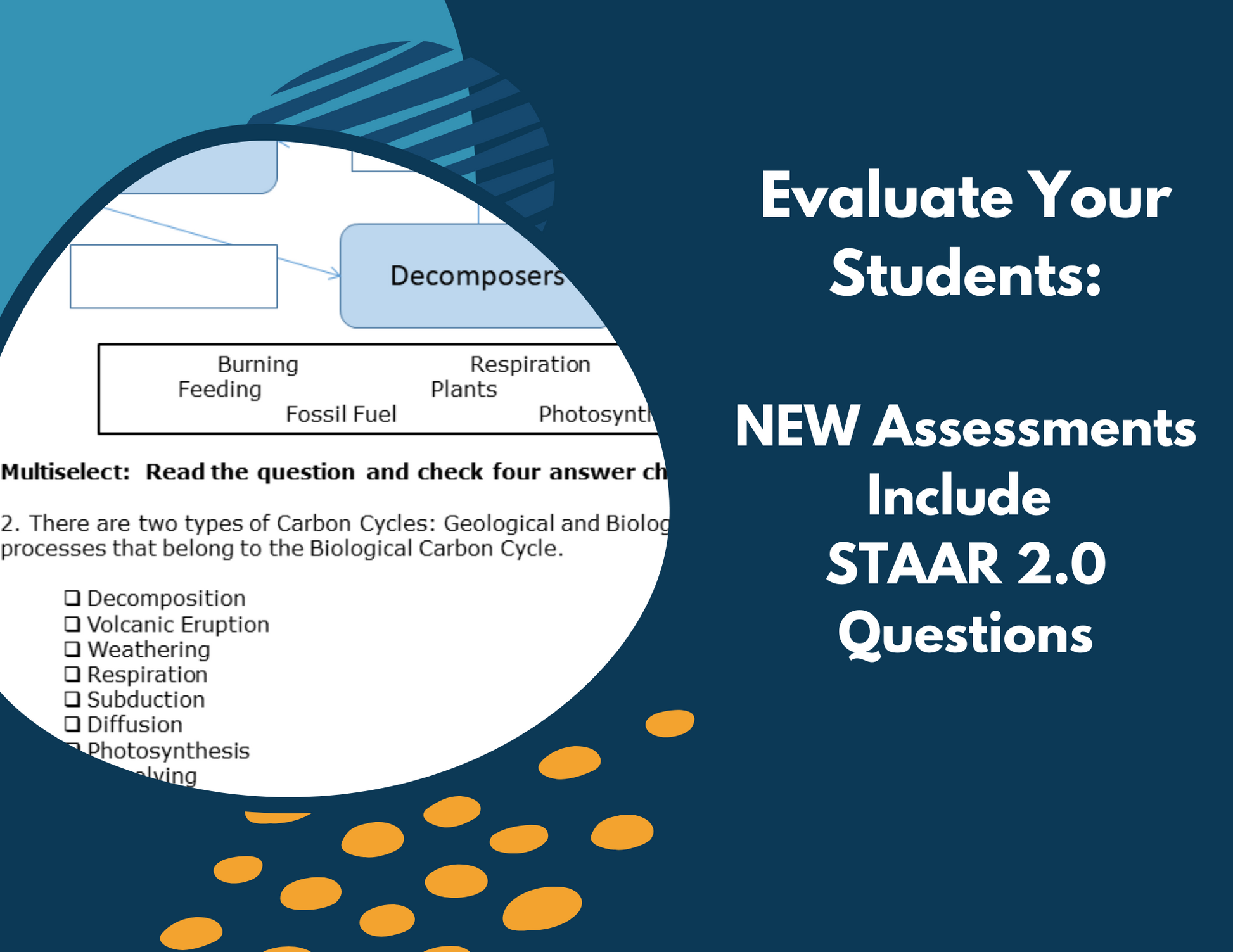 2021 TEKS MS 6-8 5E Lessons: Ecosystems Bundle