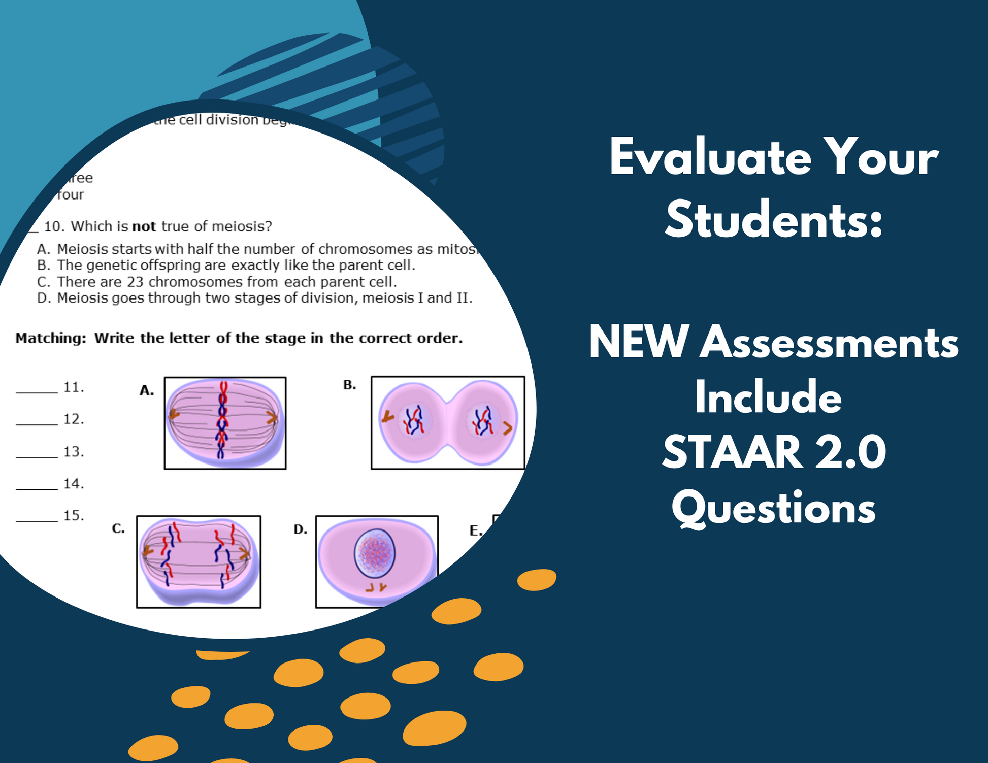2021 TEKS MS 6-8 5E Lessons: Structure of Life Bundle
