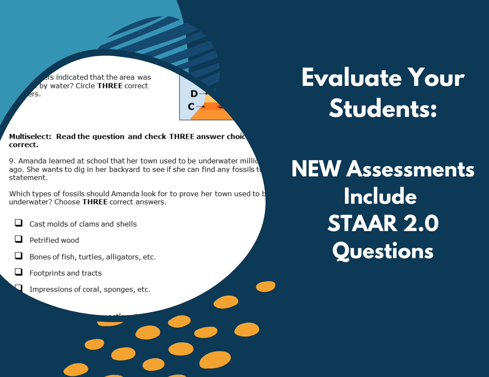 Fossil Evidence - Complete Lesson Plan - 5th Grade