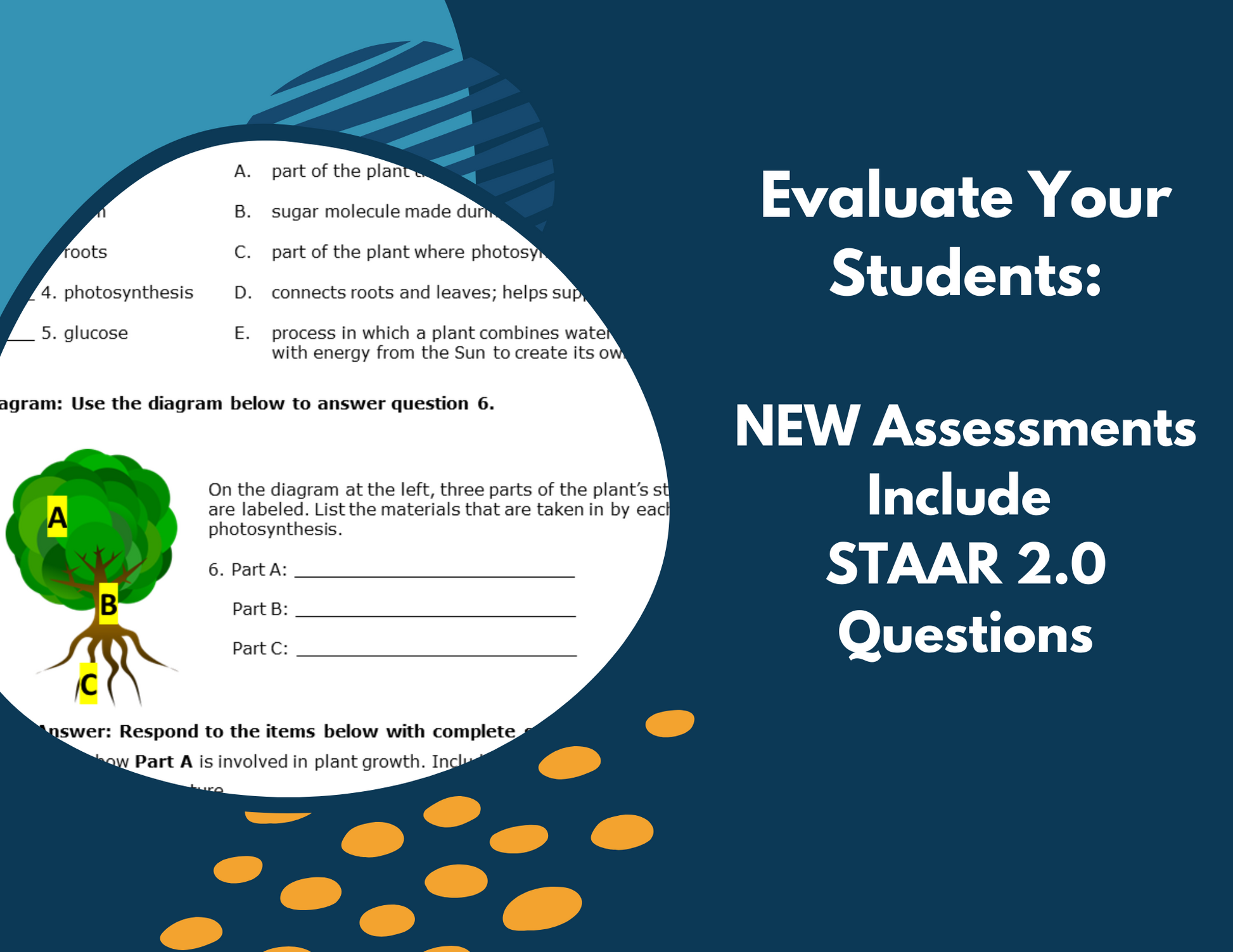 Plant Growth - Complete Lesson Plan - 5th Grade