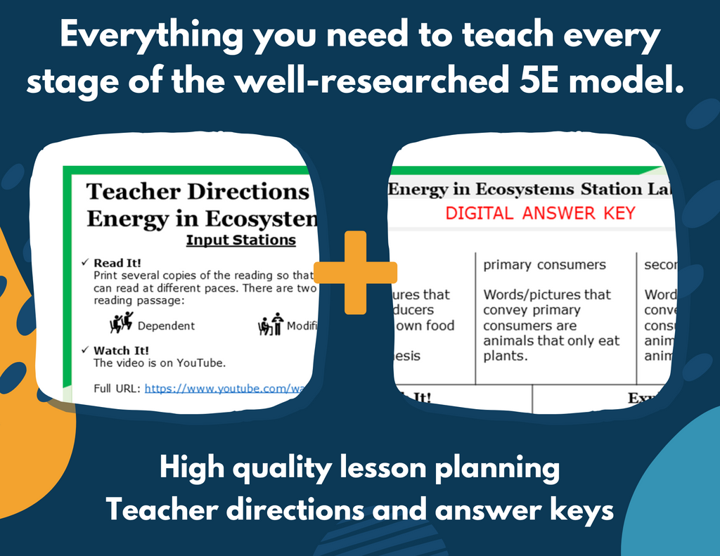 Energy in Ecosystems - Complete Lesson Plan - 5th Grade