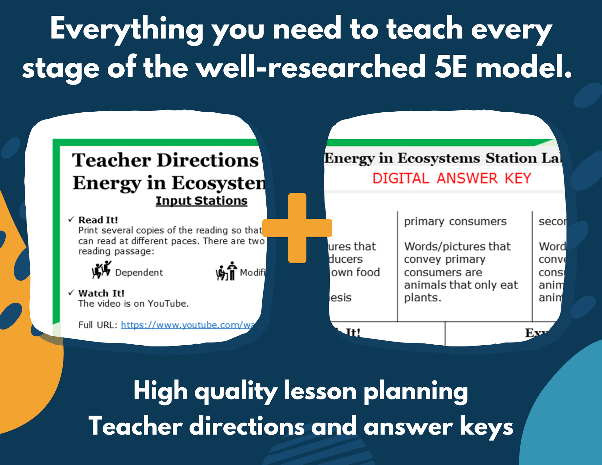 Energy in Ecosystems - Complete Lesson Plan - 5th Grade