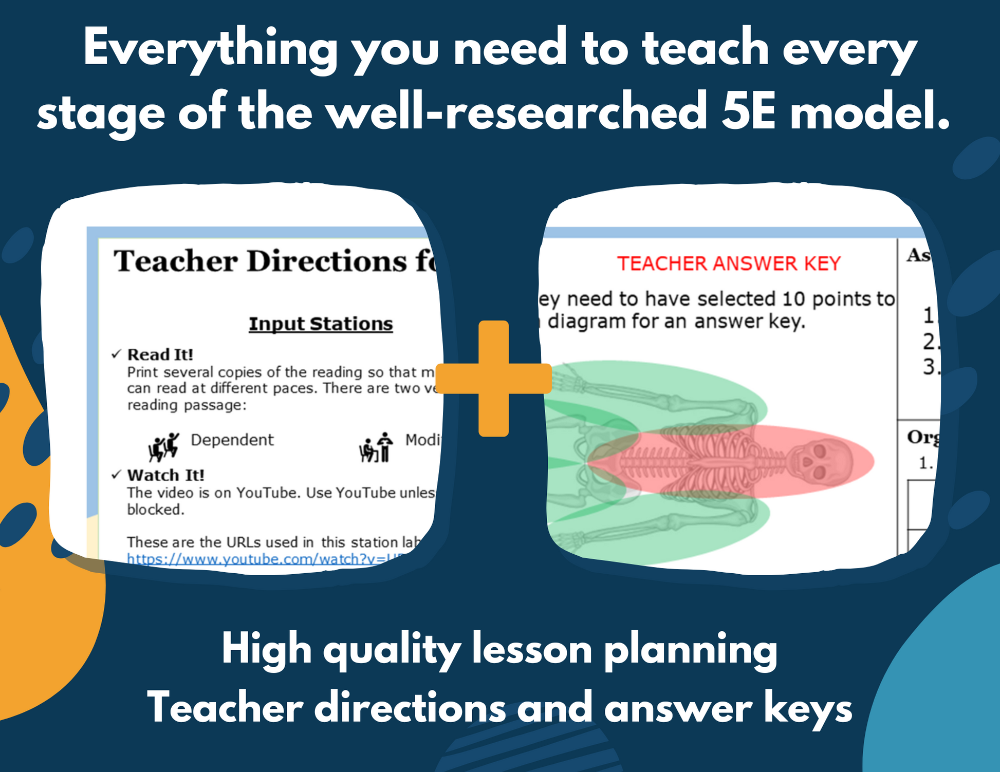 Skeletal System Complete Lesson Plan - MS