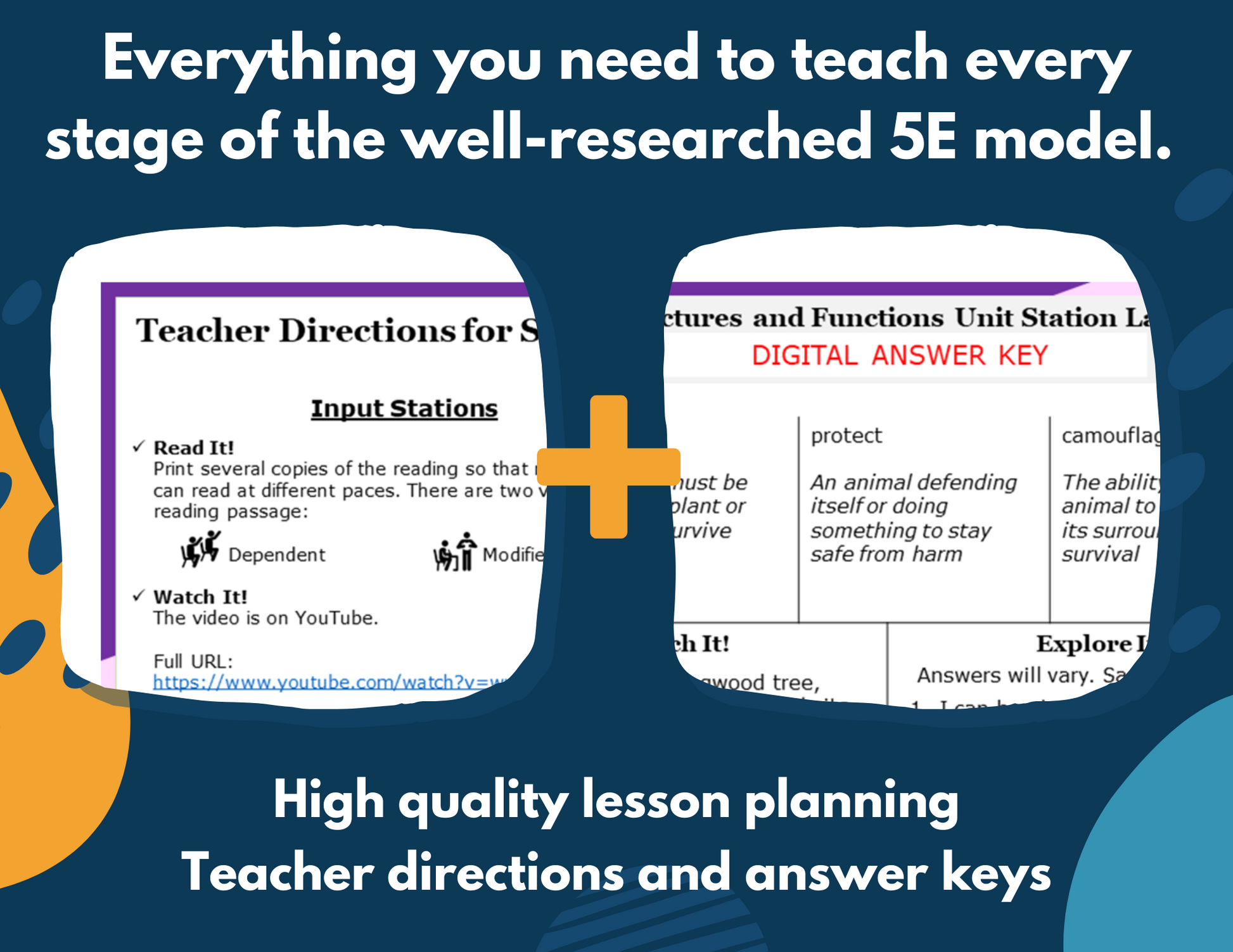 Structures & Functions - Complete Lesson Plan - Grades 4-6