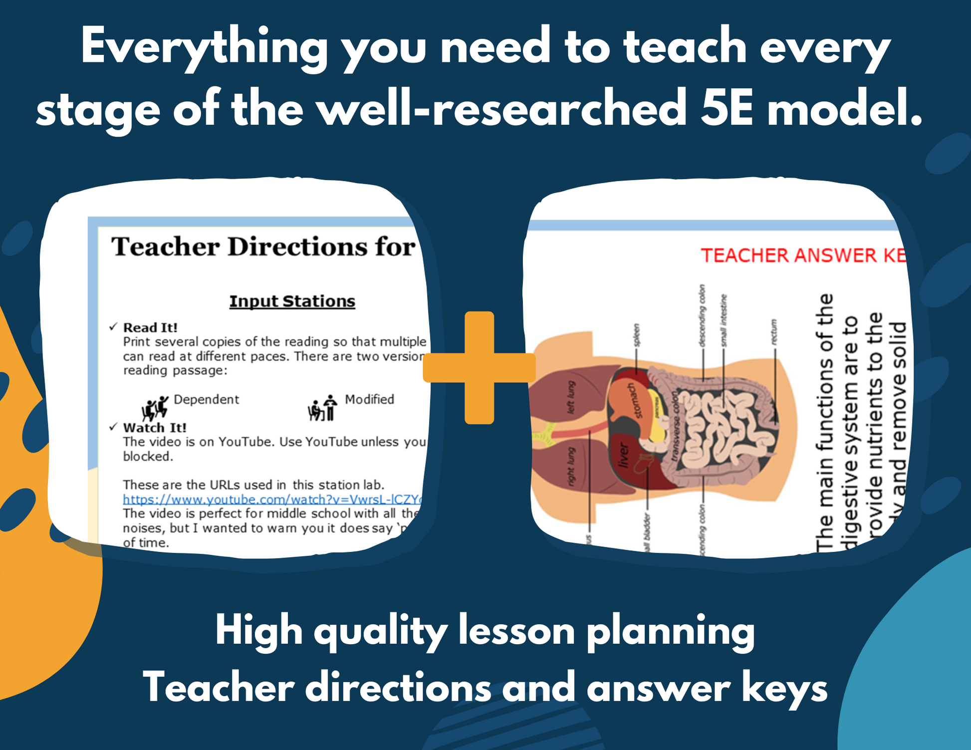 2021 TEKS MS 6-8 5E Lessons: Body Systems Bundle